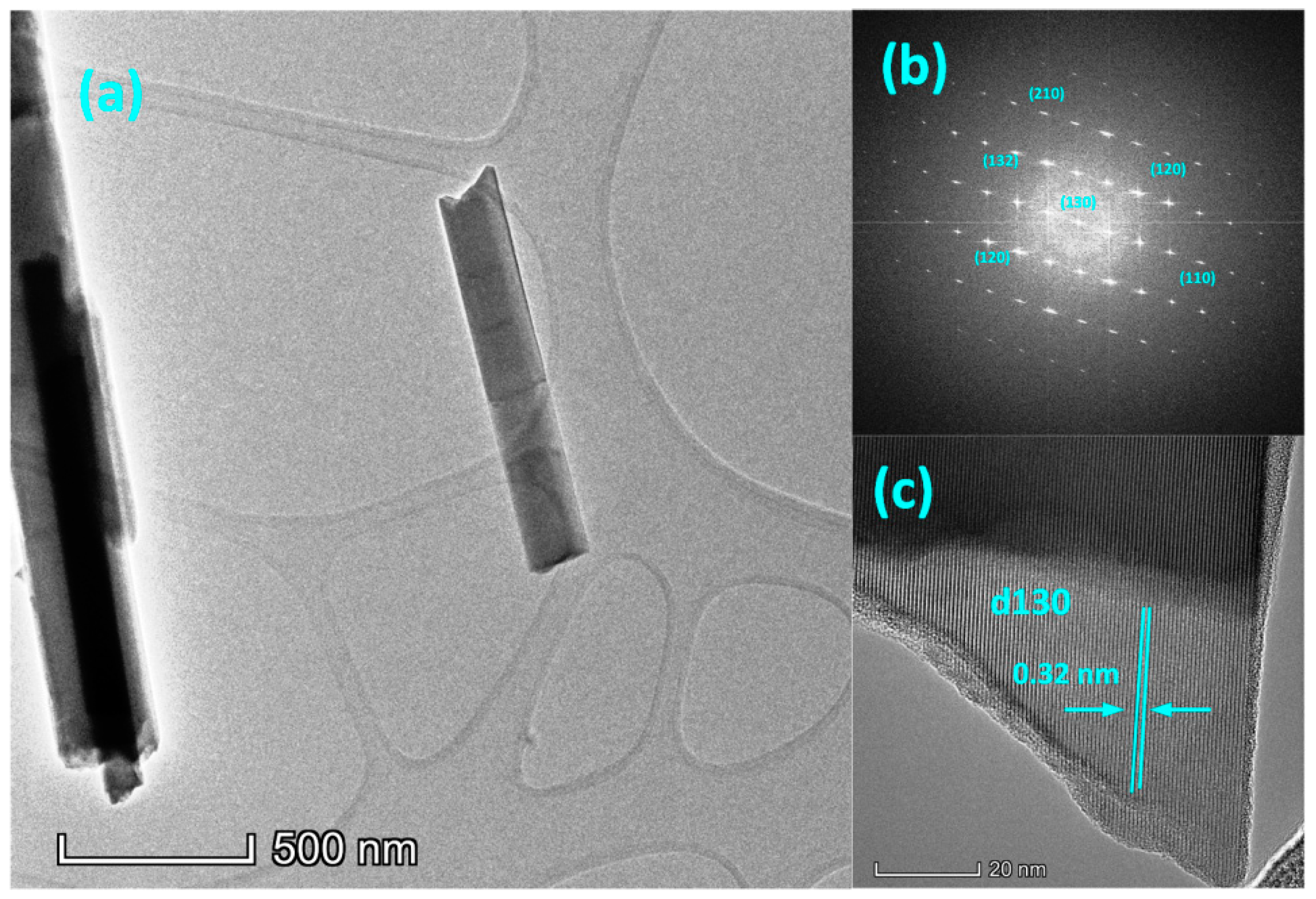 Polymers 13 02152 g004