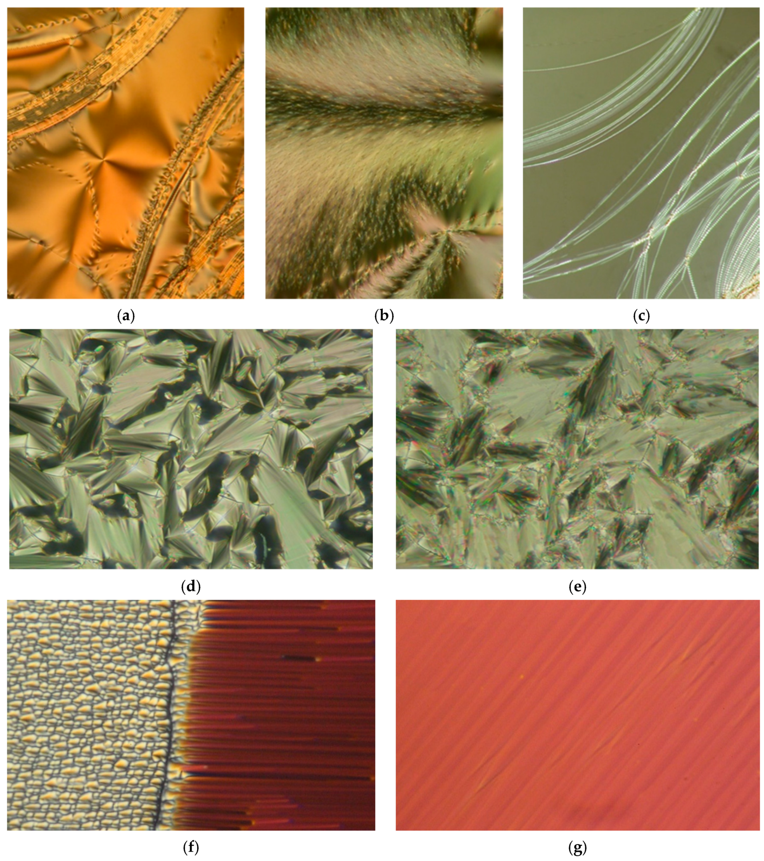 Polymers 13 02156 g003