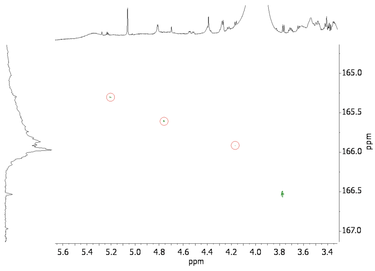 Polymers 13 02164 g005