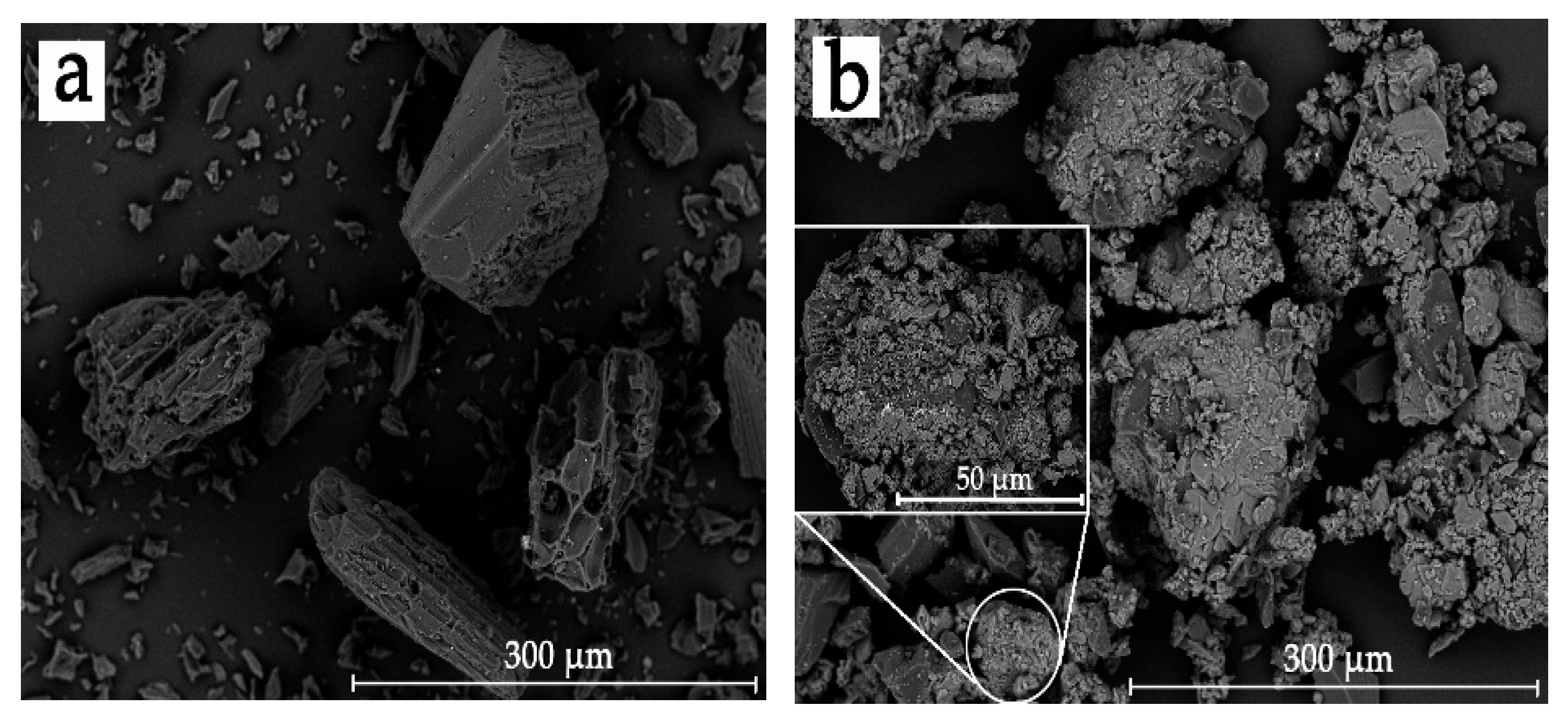 Polymers 13 02167 g002