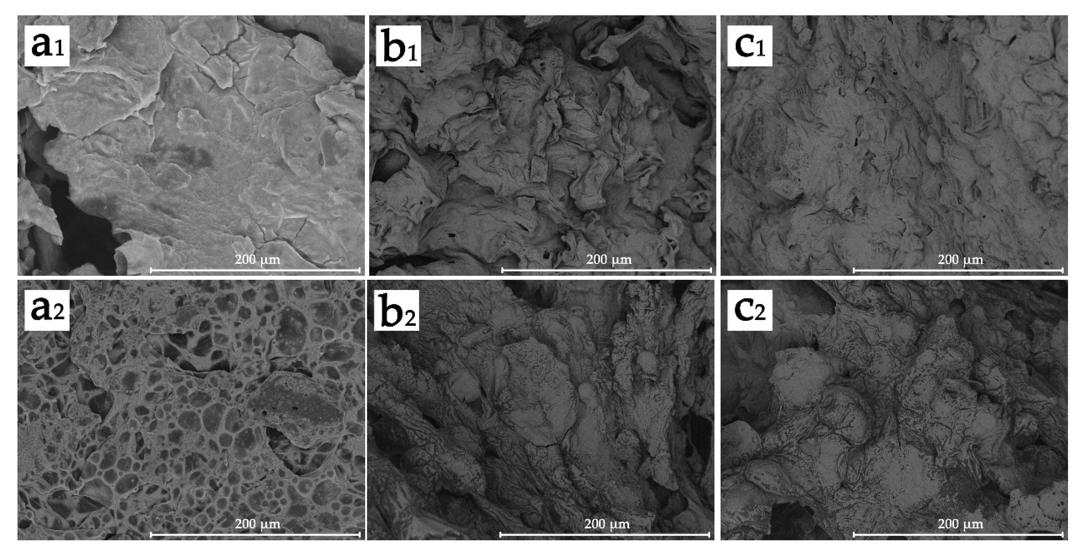 Polymers 13 02167 g013
