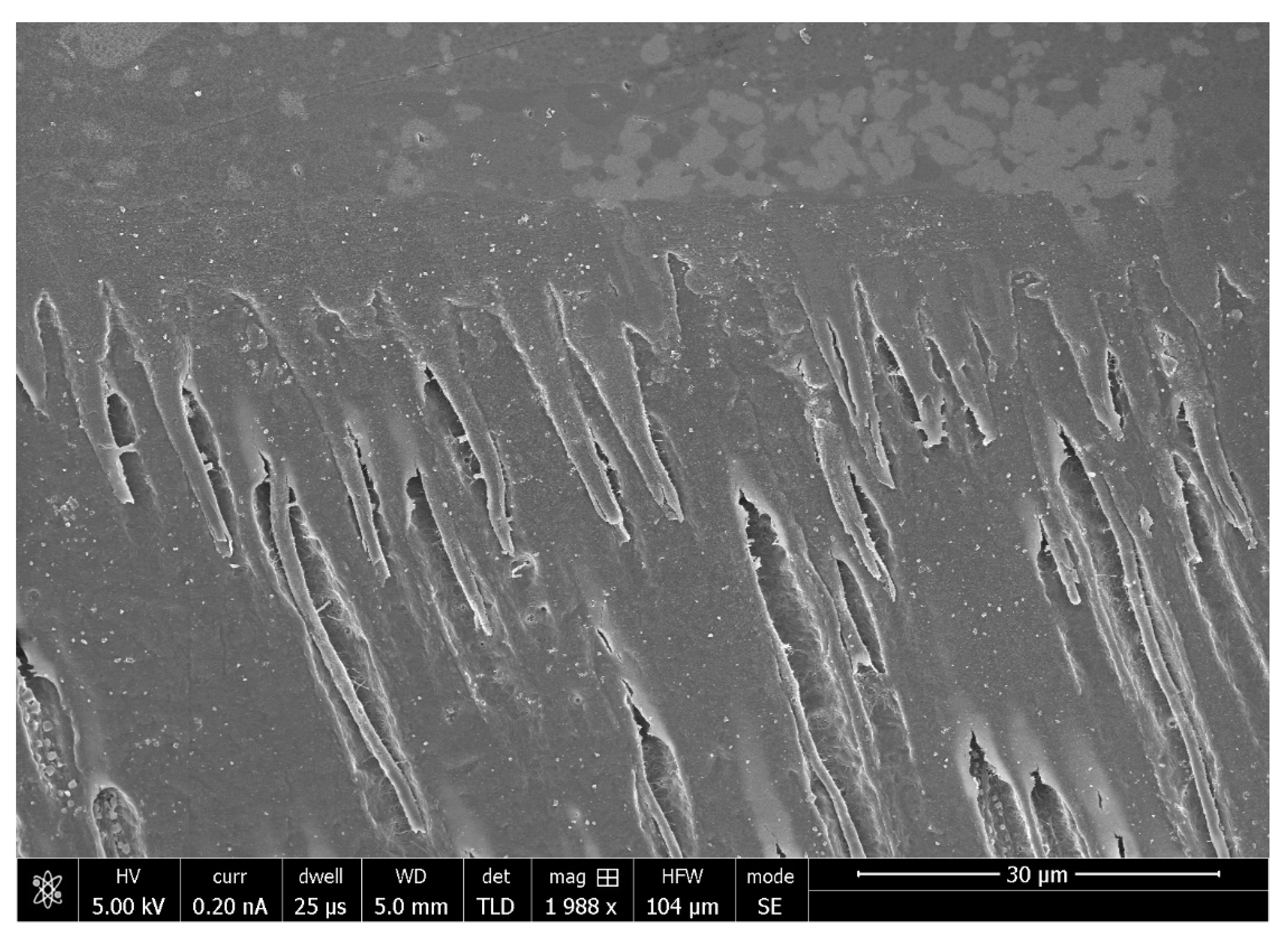 Polymers 13 02169 g004