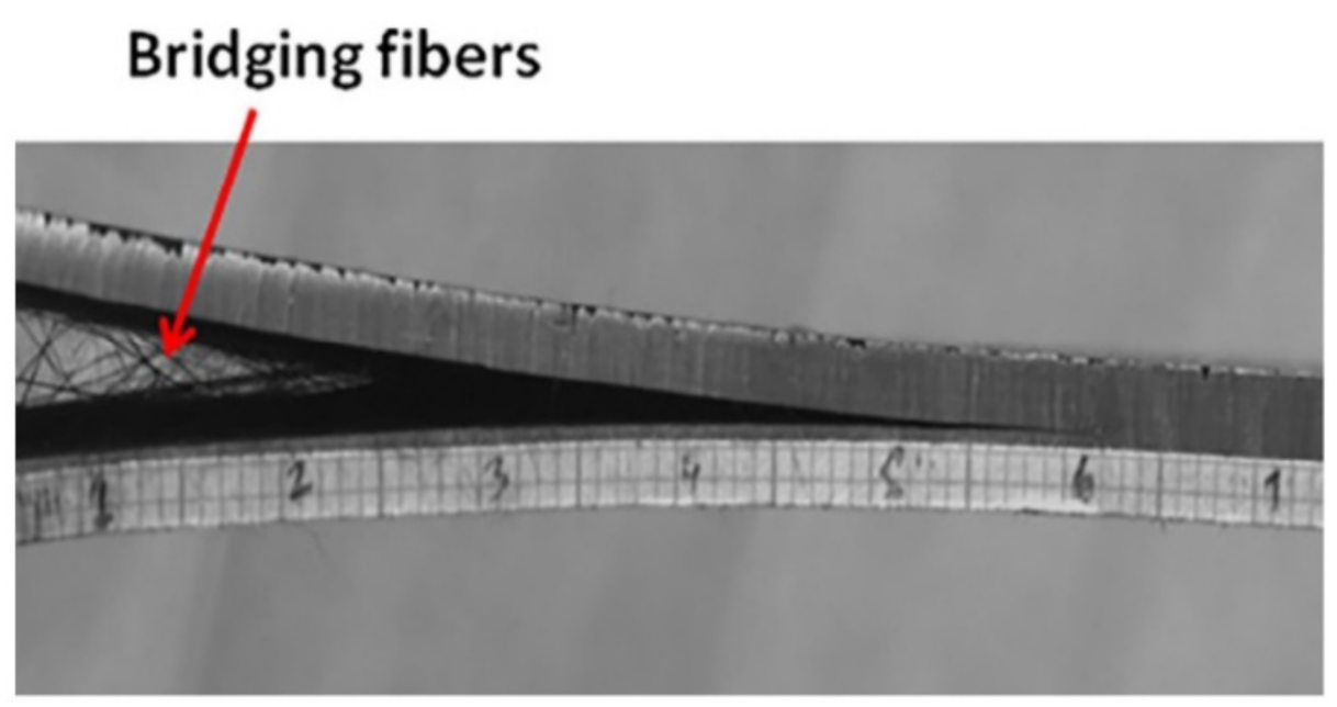 Polymers 13 02170 g005