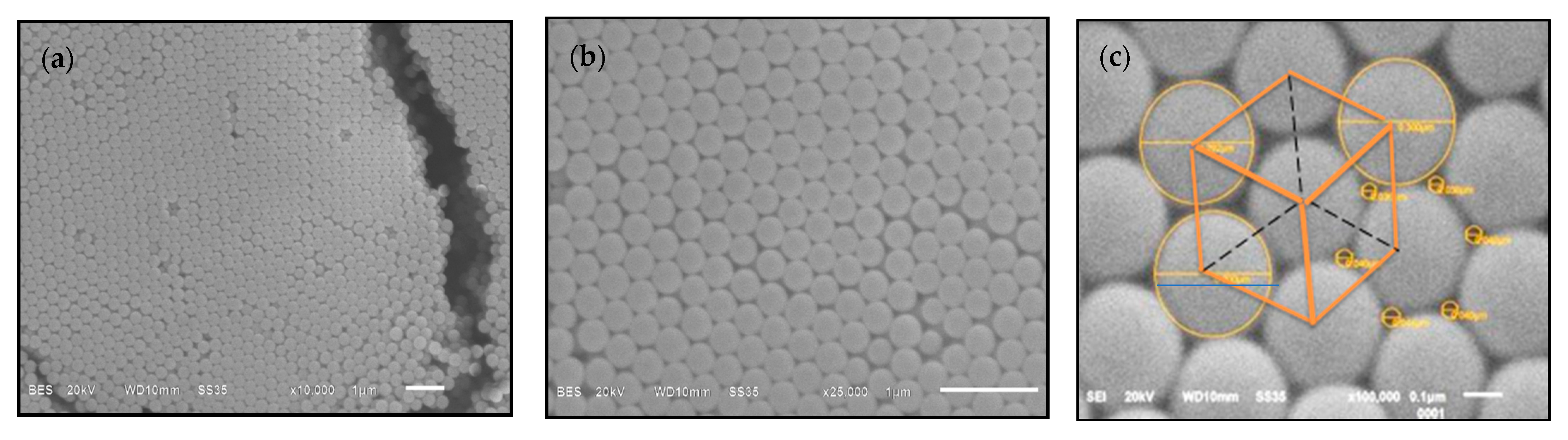 Polymers 13 02171 g008 Polymers 13 02171 g008