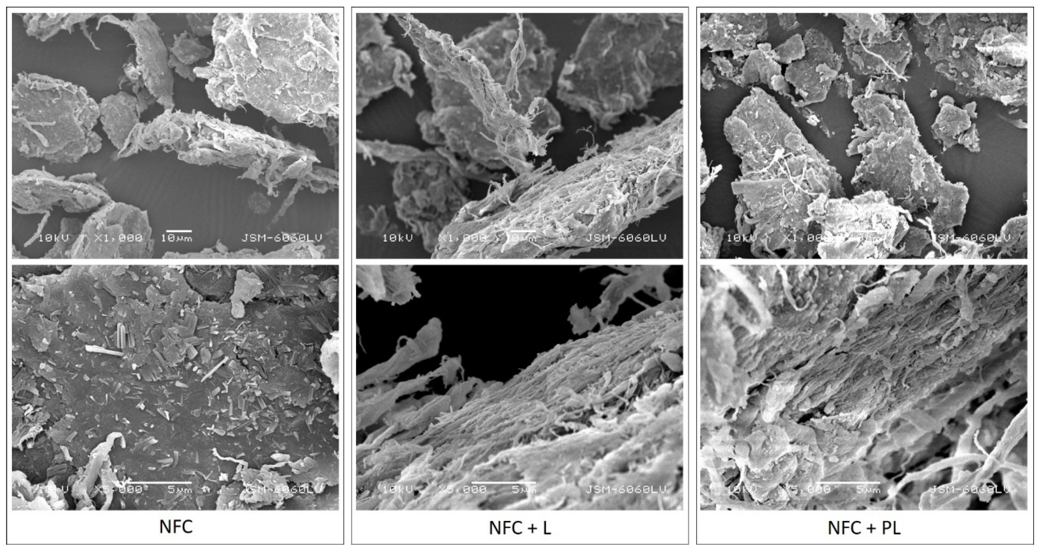 Polymers 13 02174 g001 550