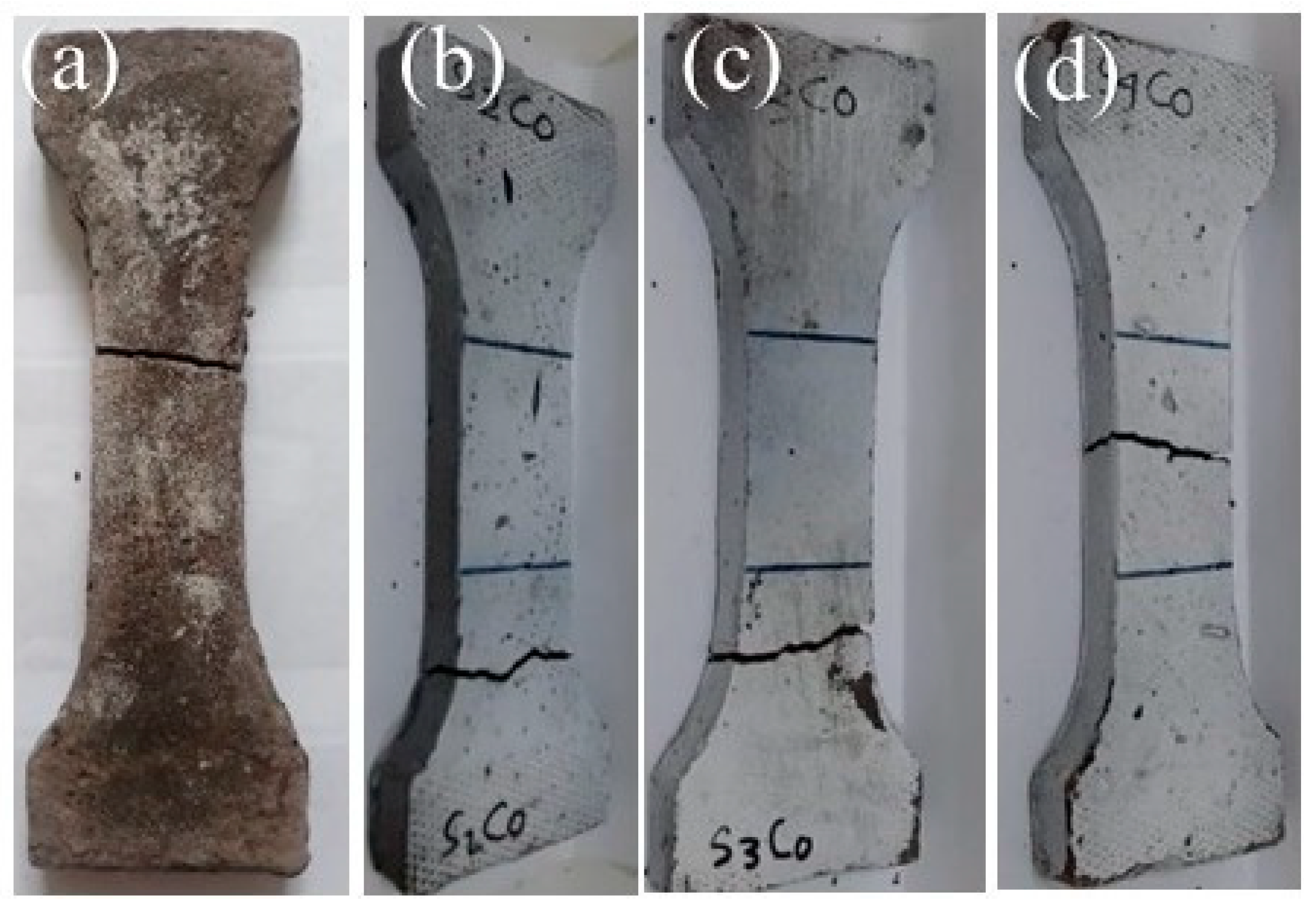 Polymers 13 02178 g005
