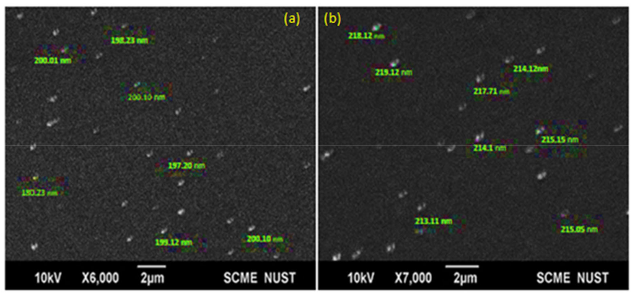 Polymers 13 02180 g002 Polymers 13 02180 g002
