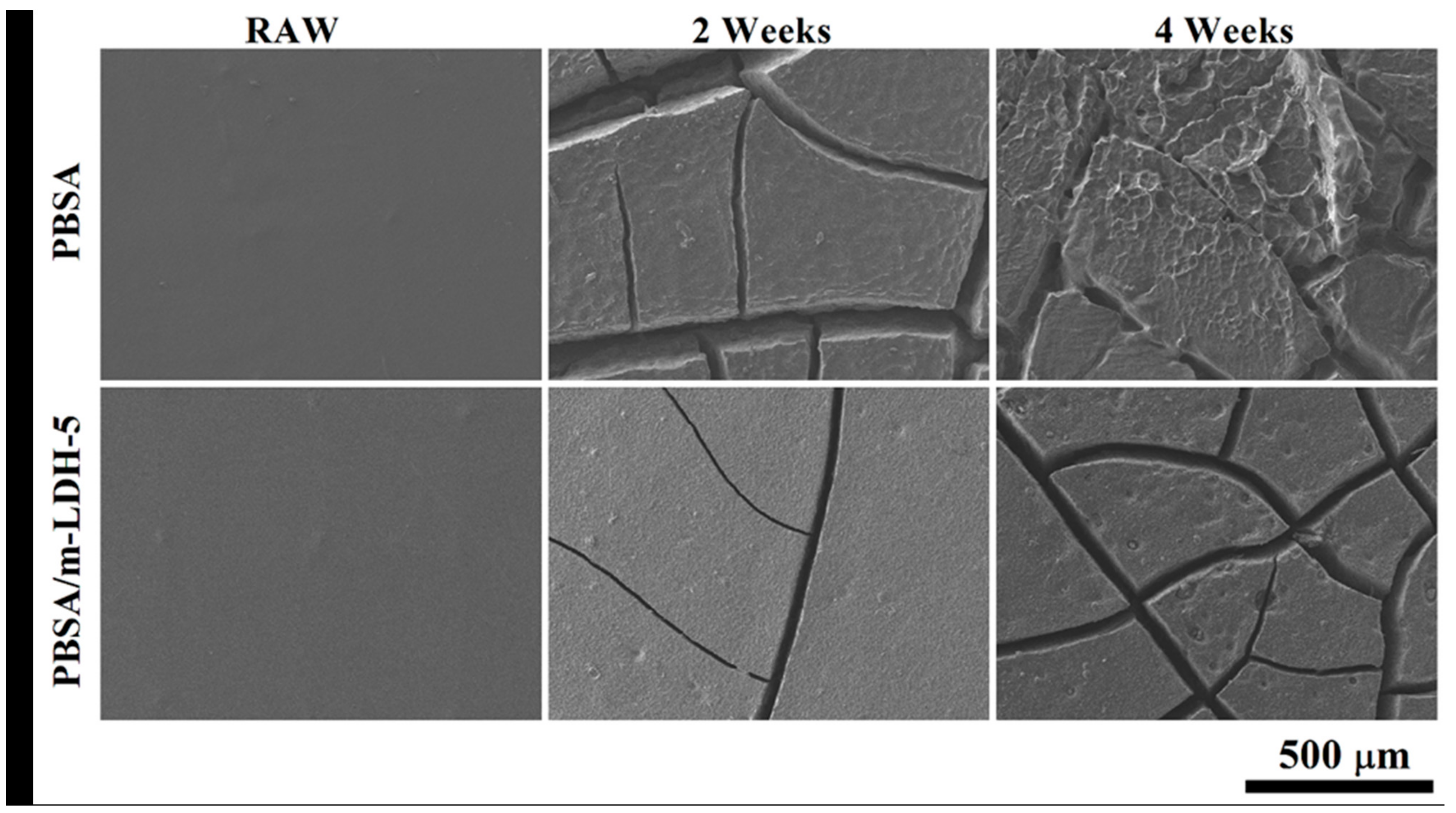 Polymers 13 02181 g006 550