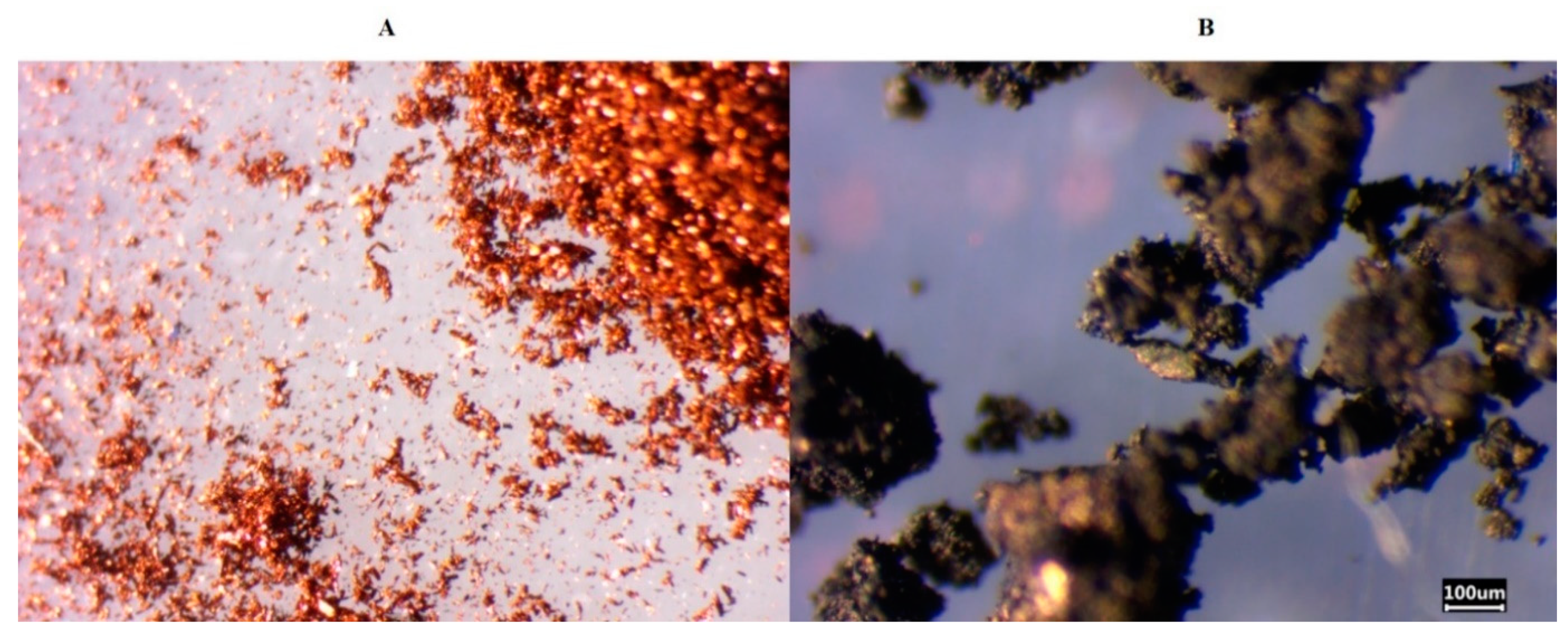 Polymers 13 02188 g005