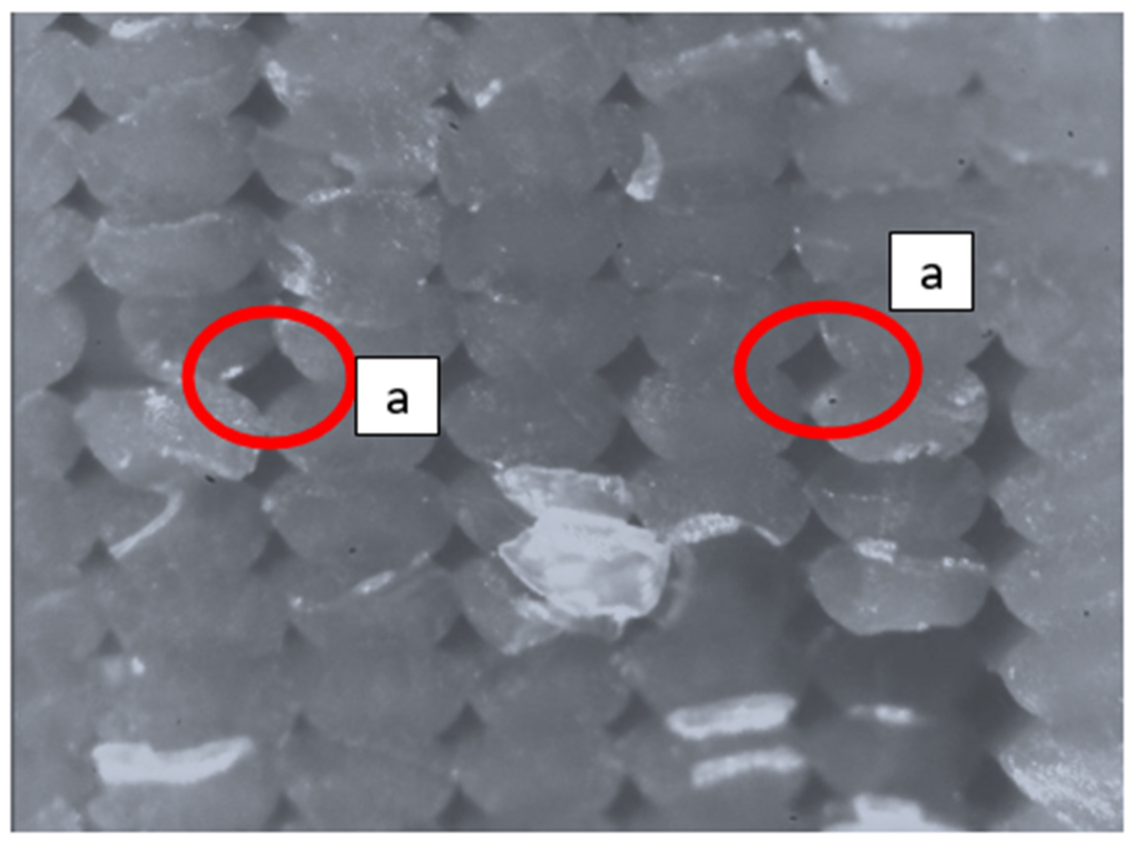 Polymers 13 02190 g001 550