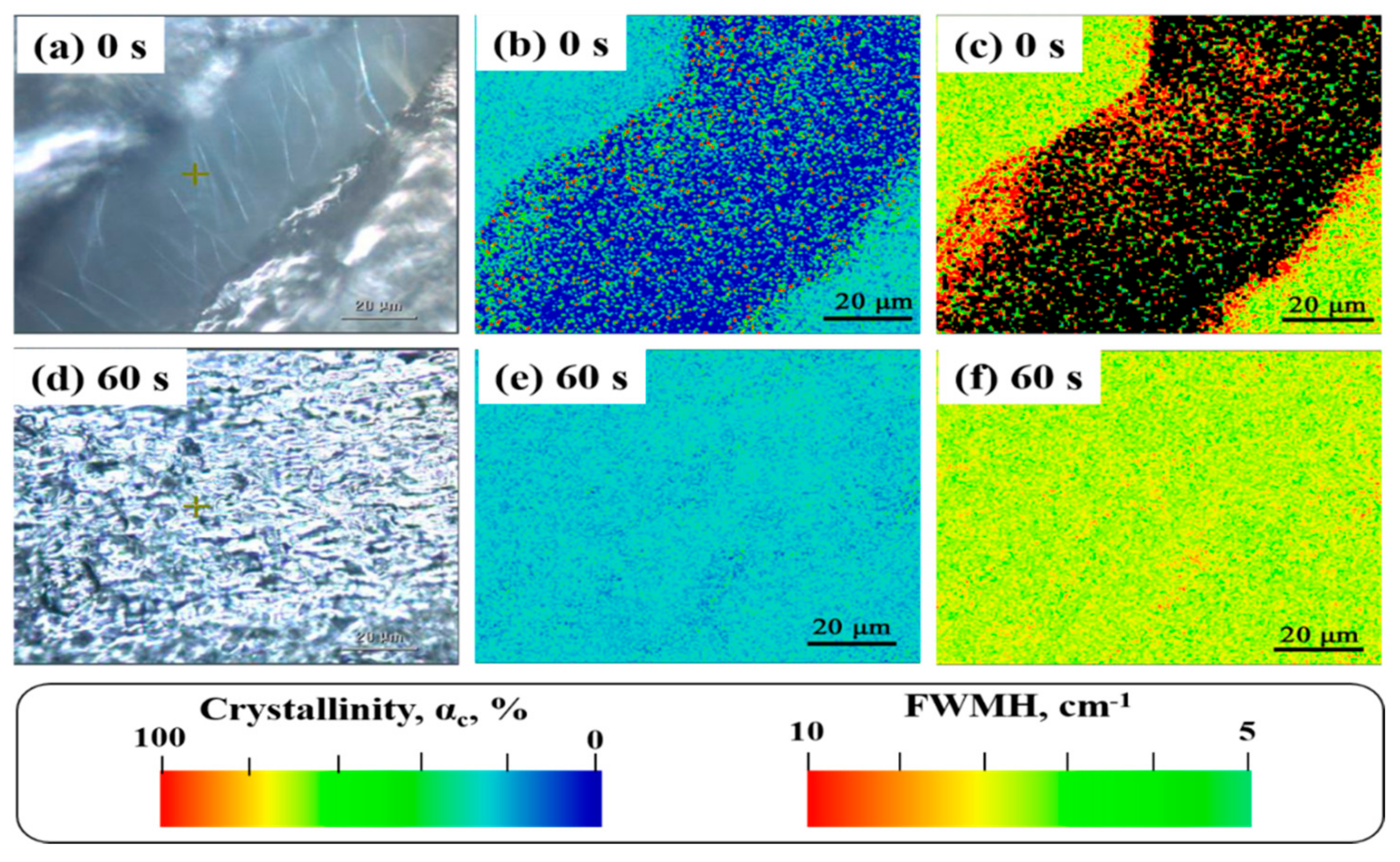 Polymers 13 02192 g002