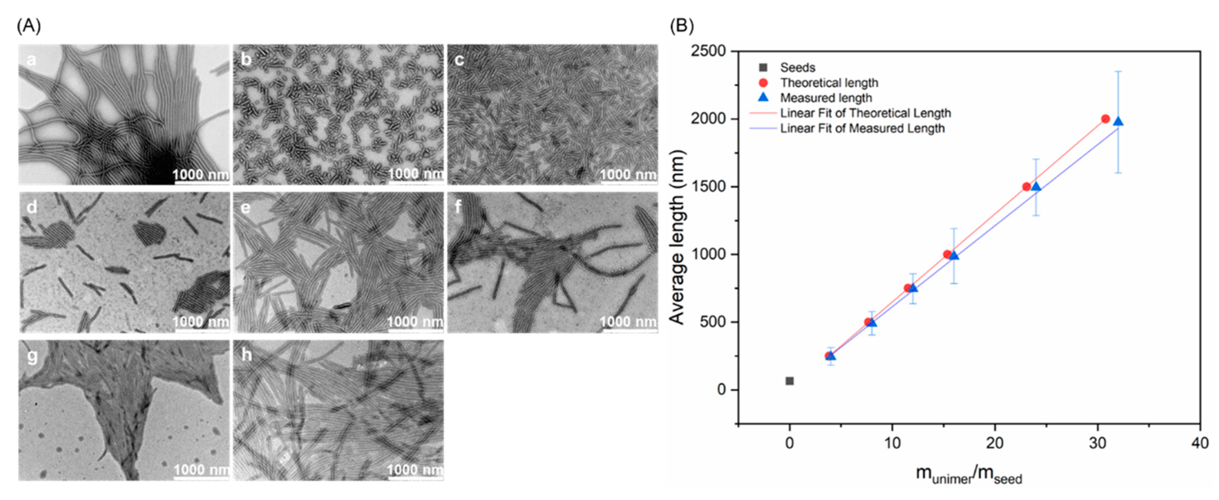 Polymers 13 02202 g001