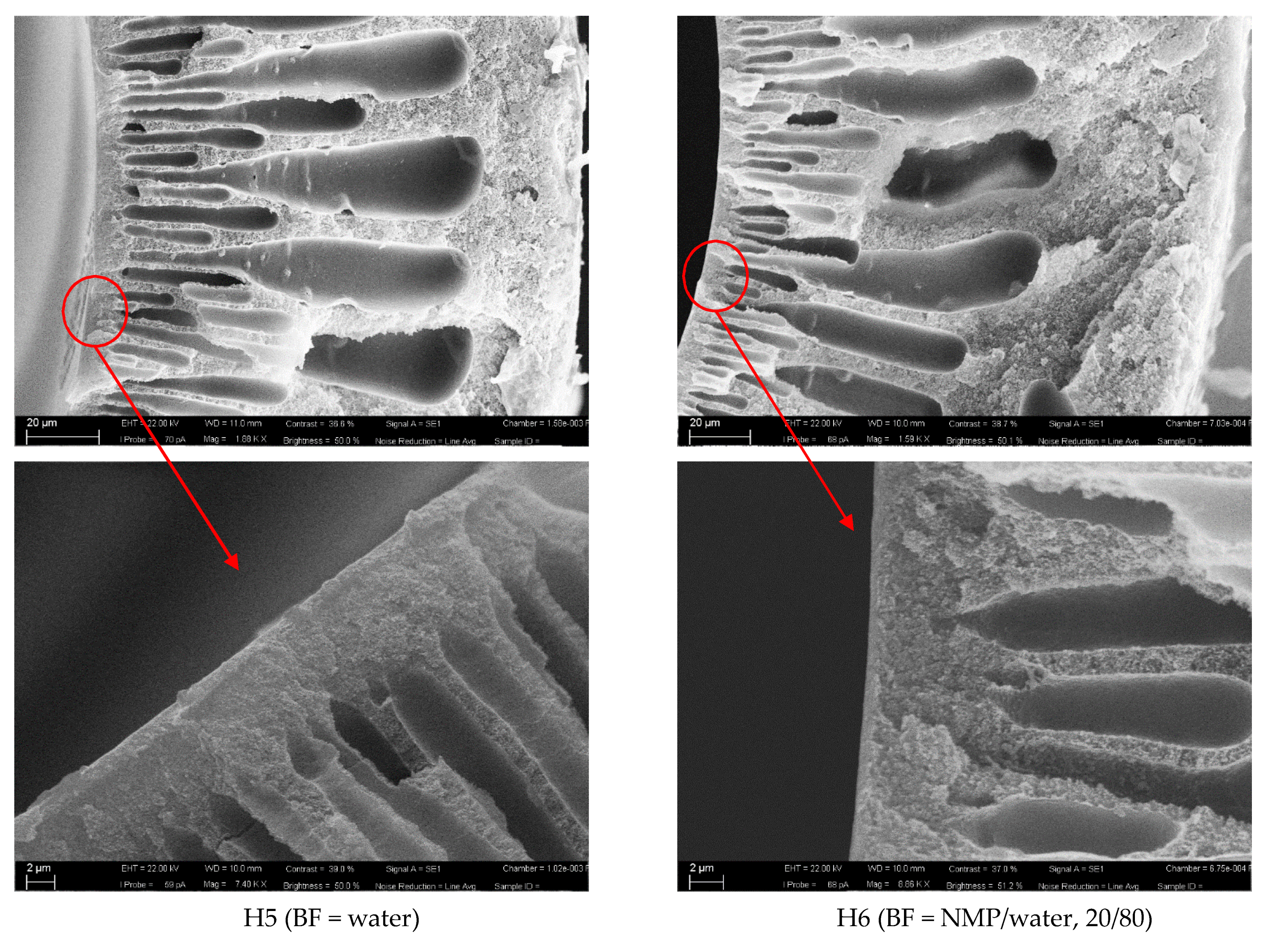Polymers 13 02211 g001