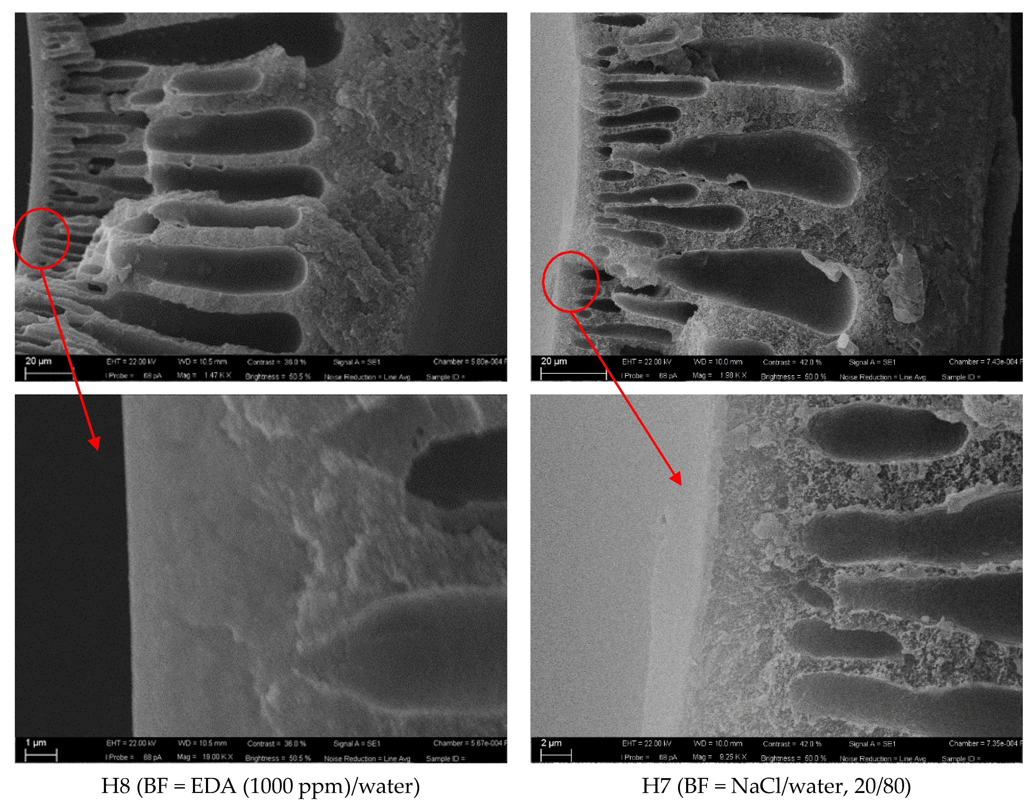 Polymers 13 02211 g002