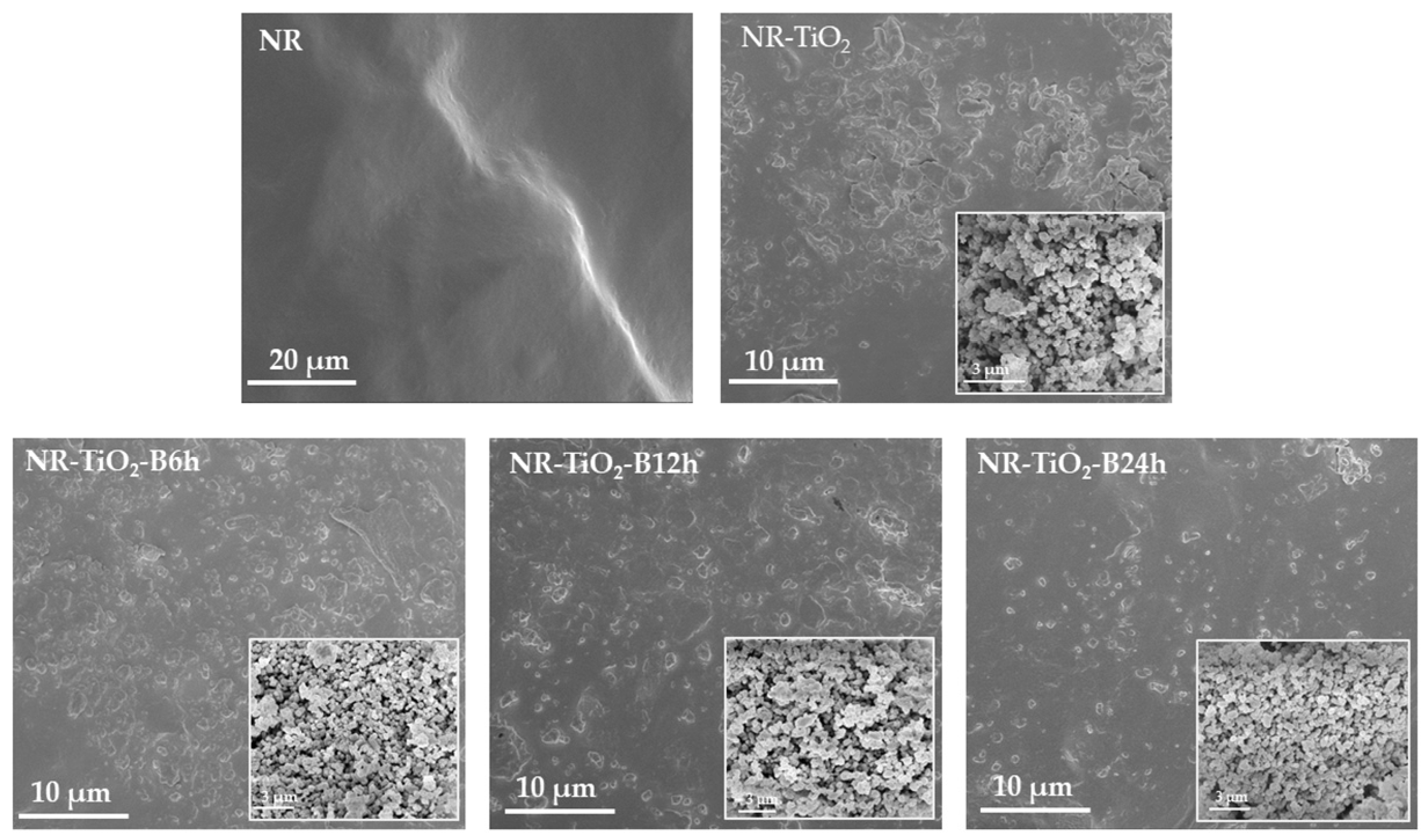 Polymers 13 02213 g005