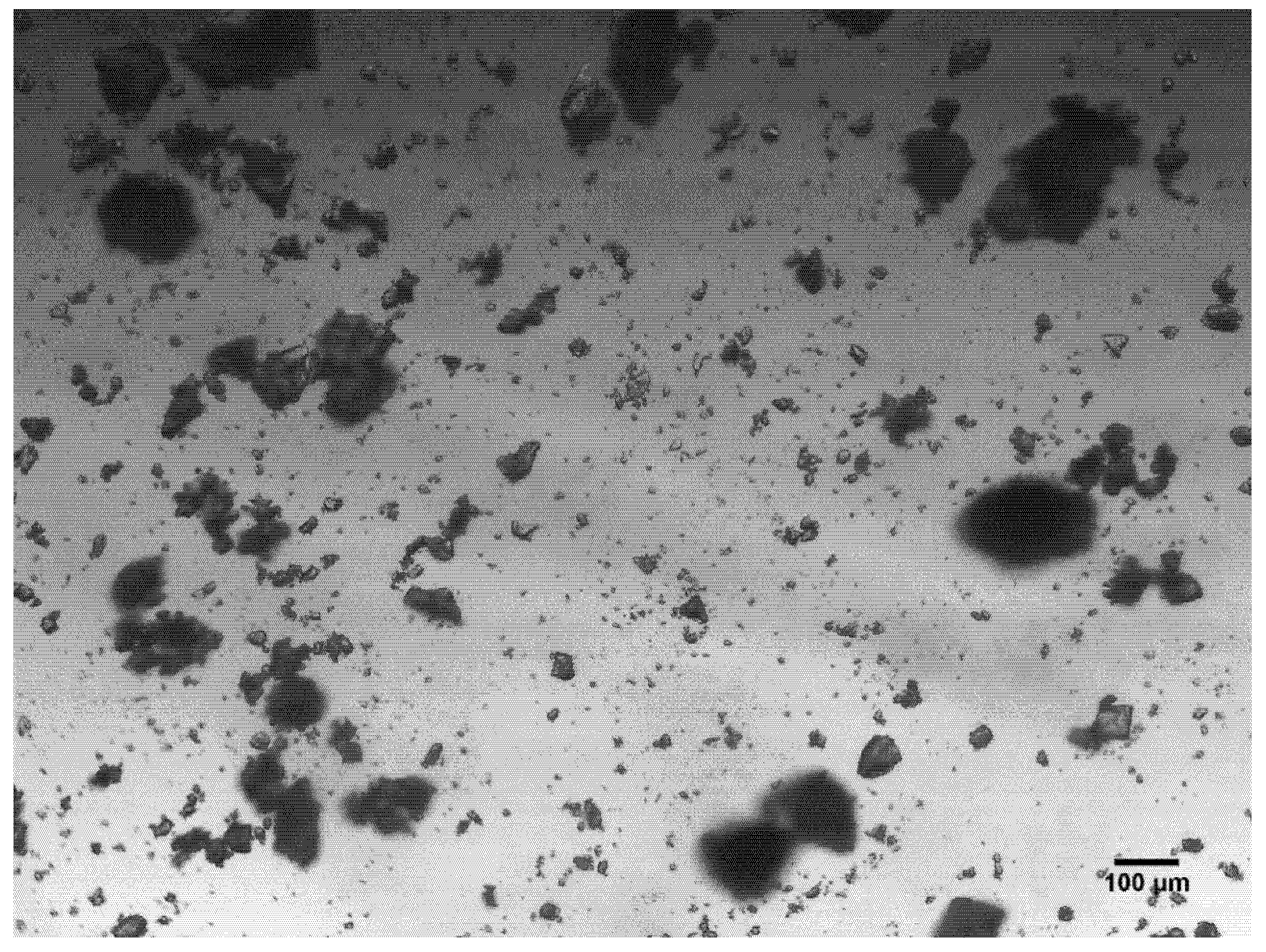 Polymers 13 02221 g004 550