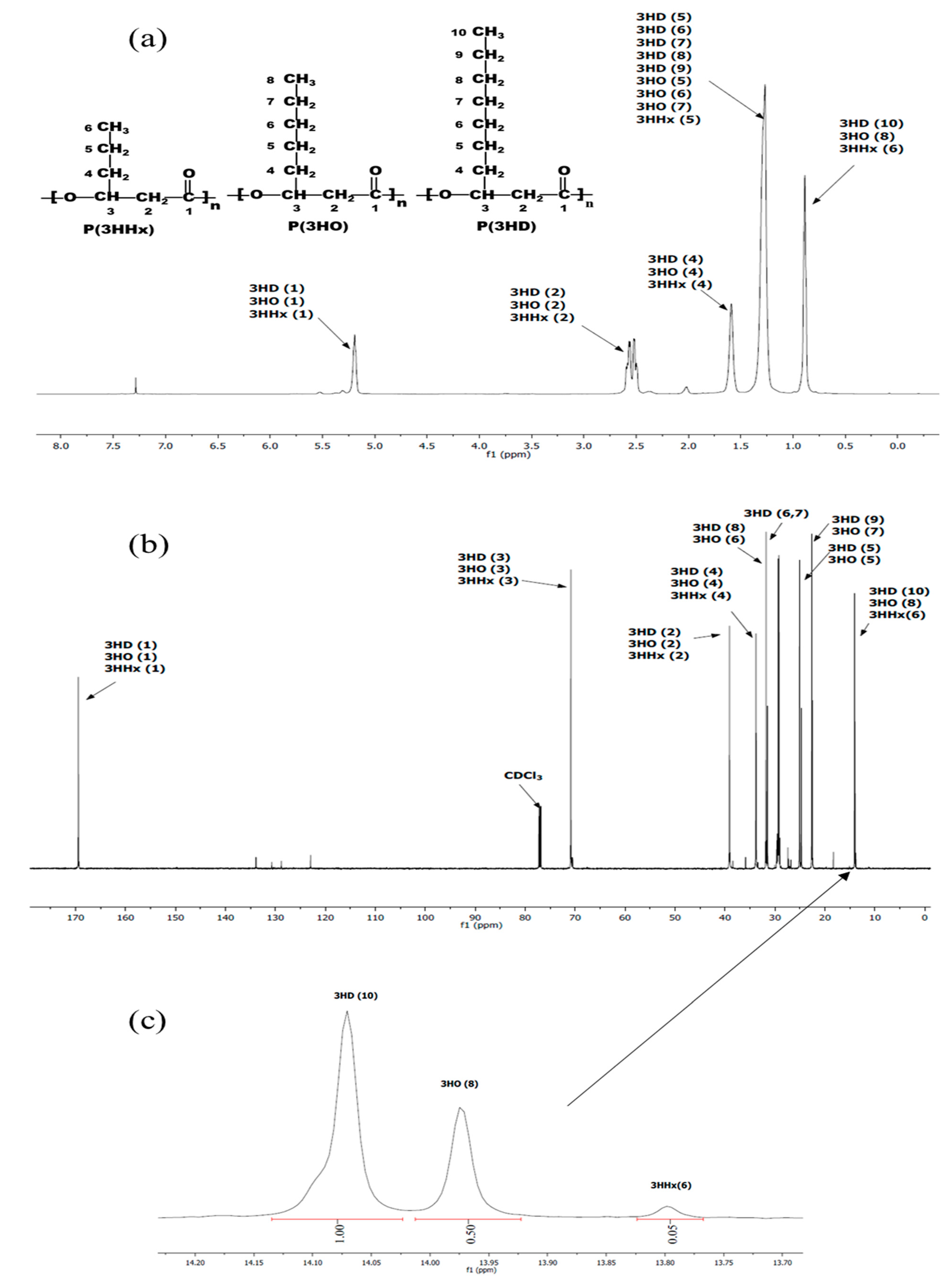 Polymers 13 02222 g005