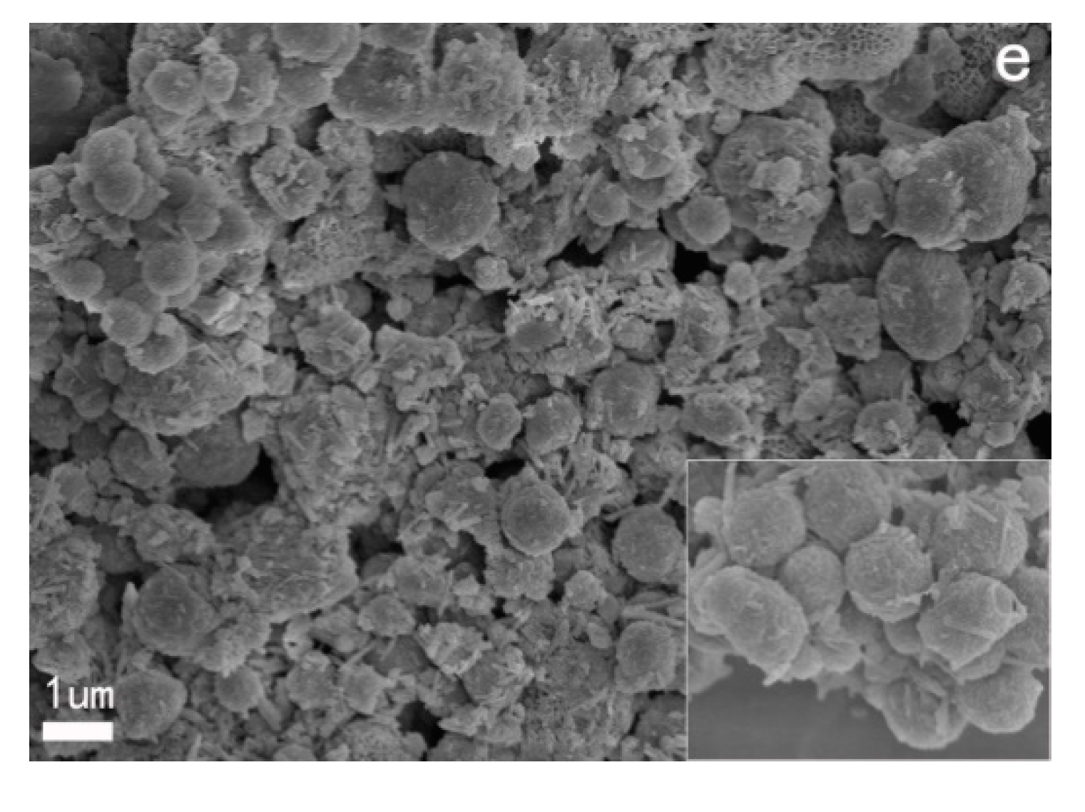 Polymers 13 02224 g003b 550