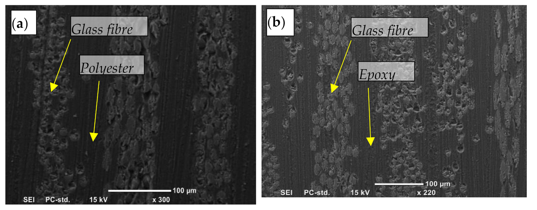 Polymers 13 02230 g001 550