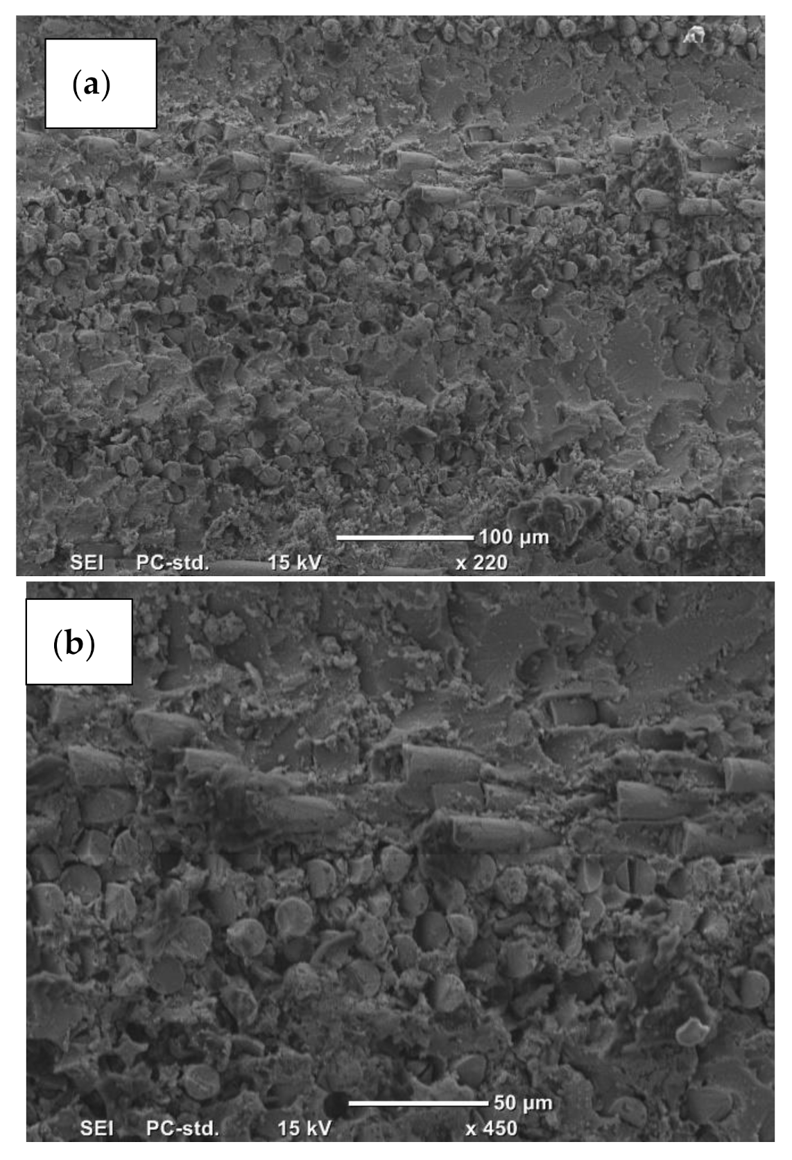 Polymers 13 02230 g011 550