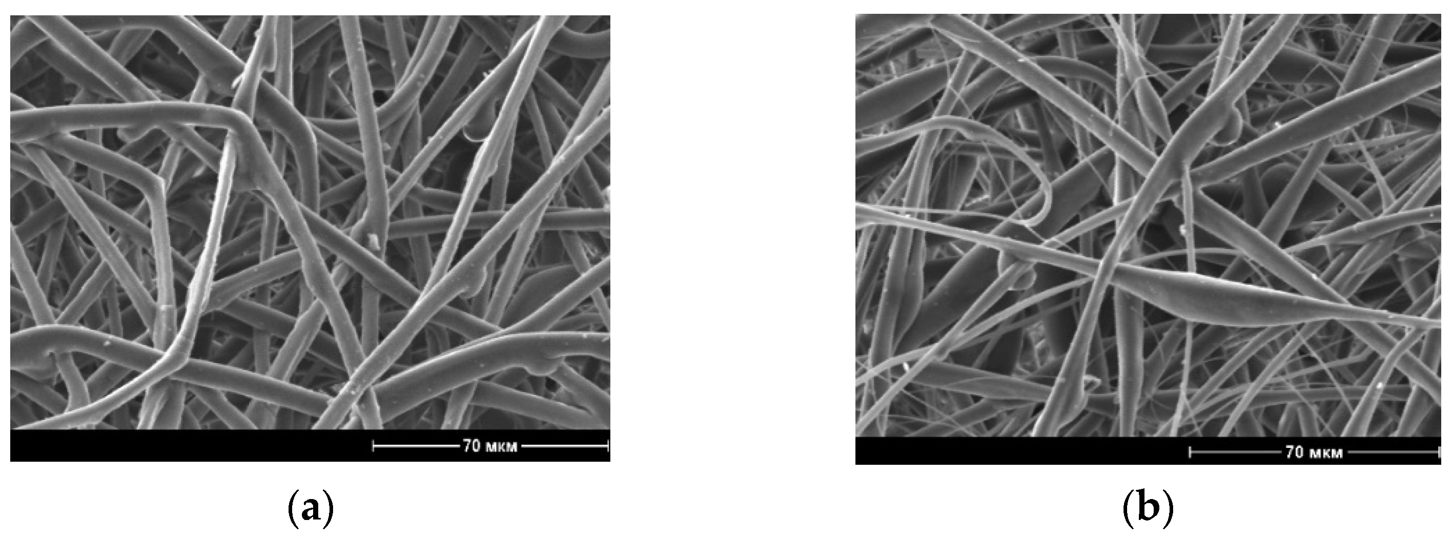 Polymers 13 02232 g001a 550
