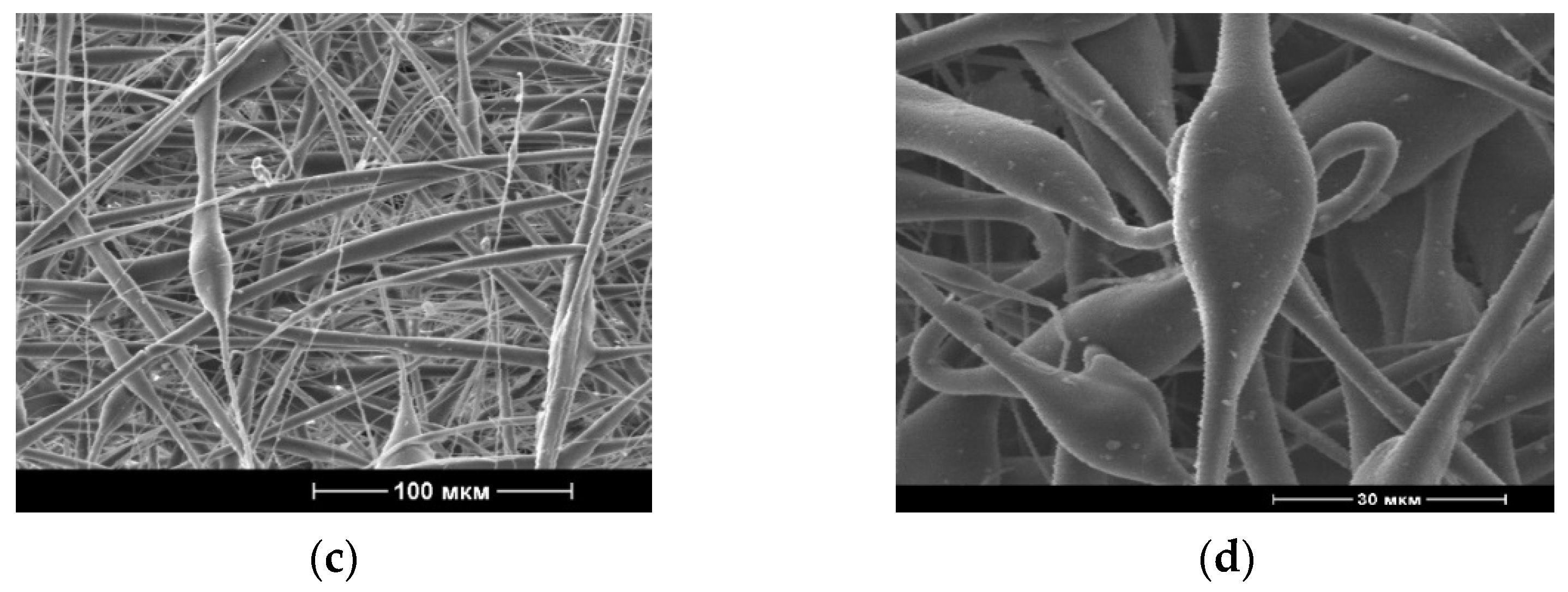 Polymers 13 02232 g001b 550