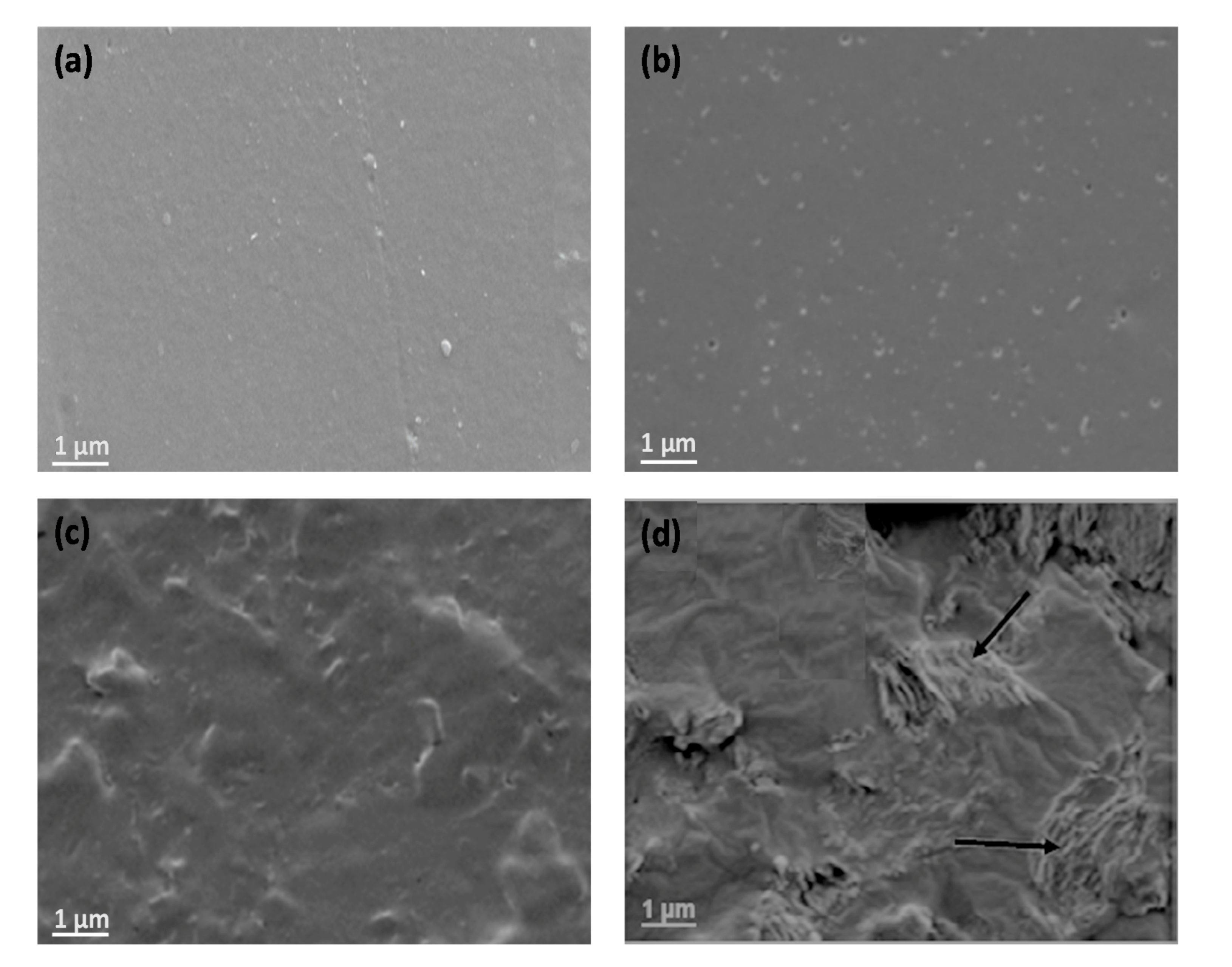 Polymers 13 02233 g001 550