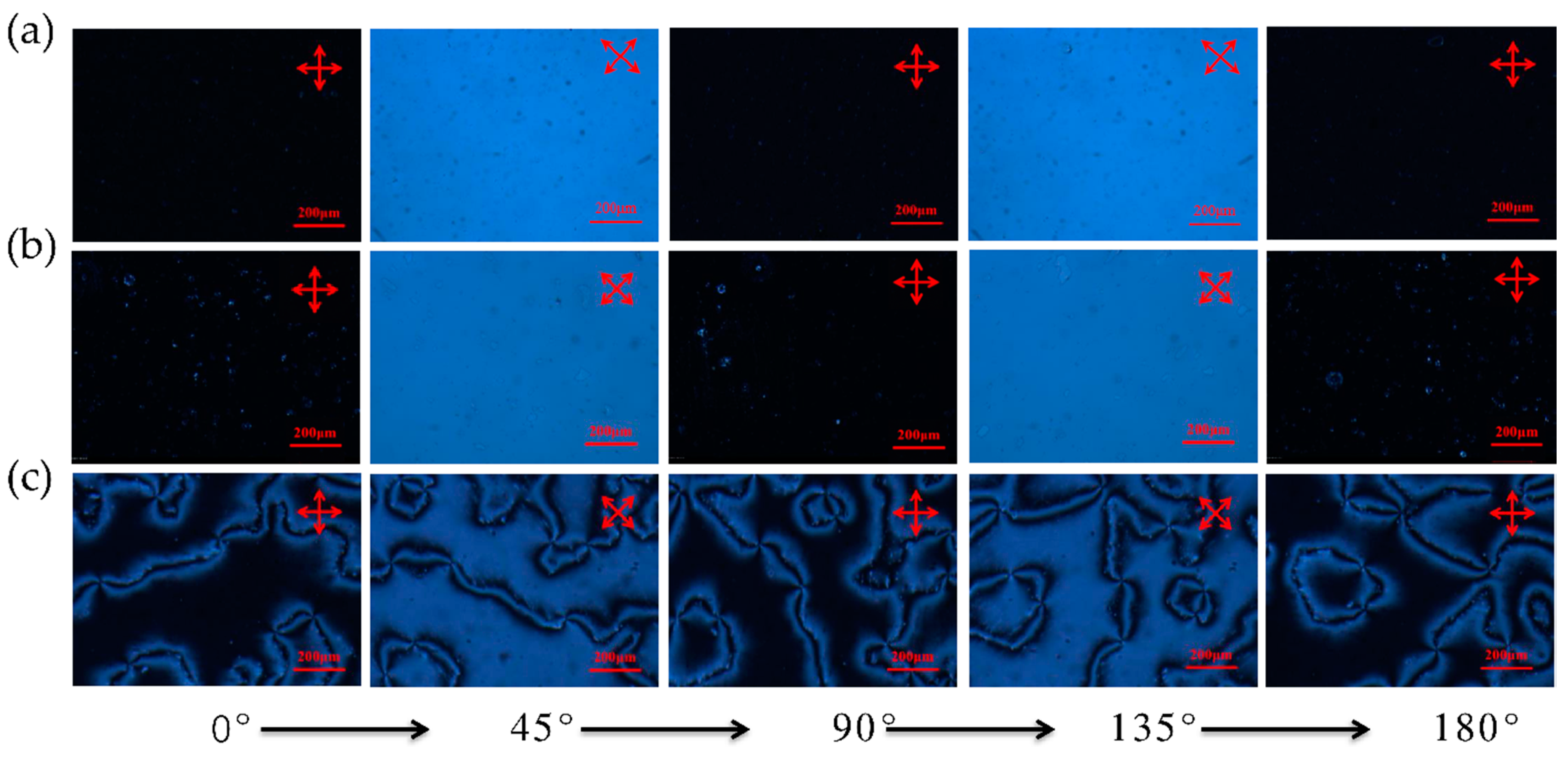 Polymers 13 02238 g001