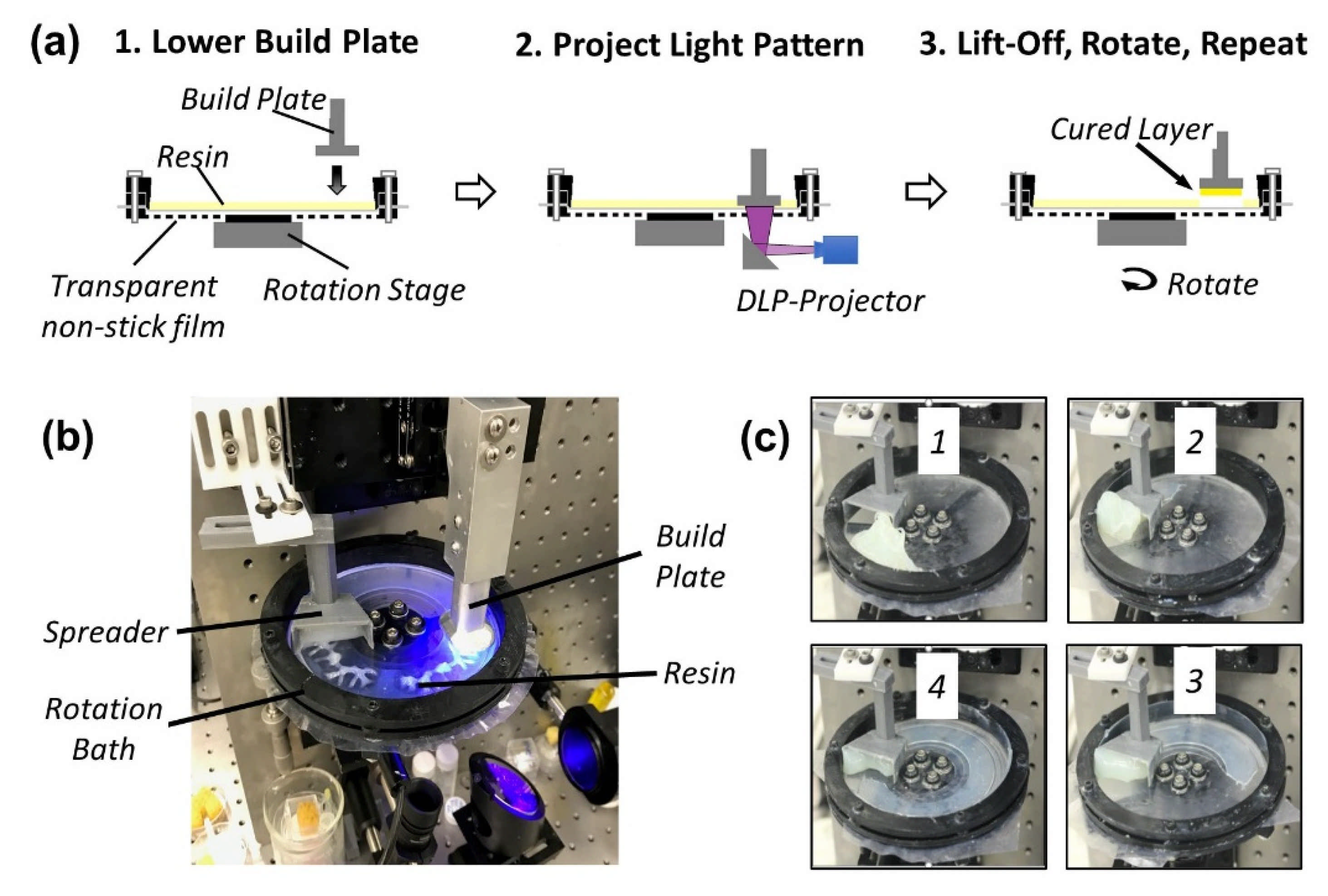 Polymers 13 02239 g001