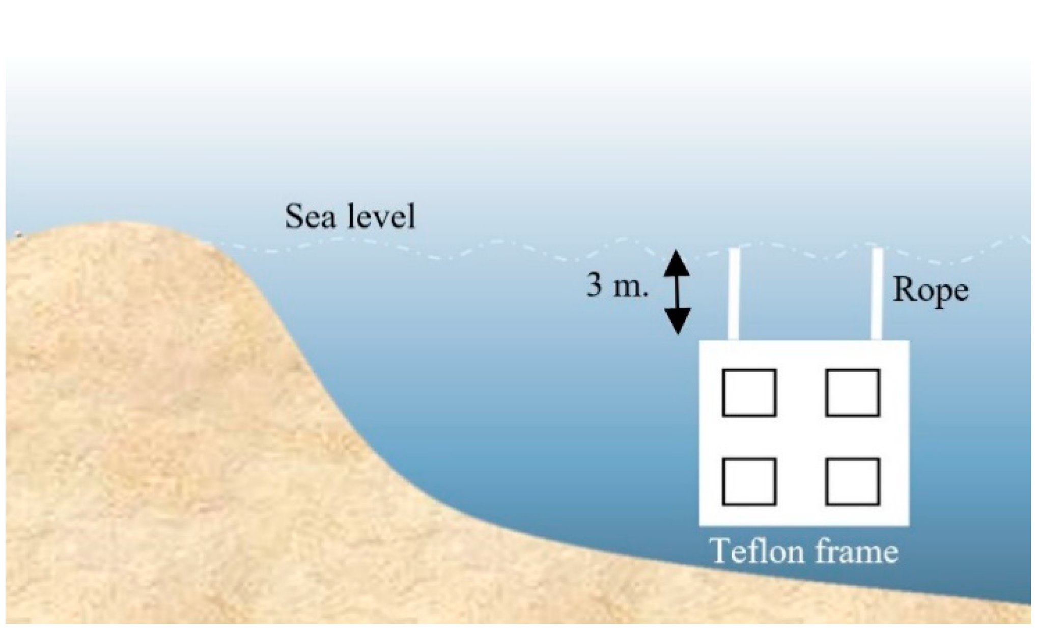 Polymers 13 02242 g001