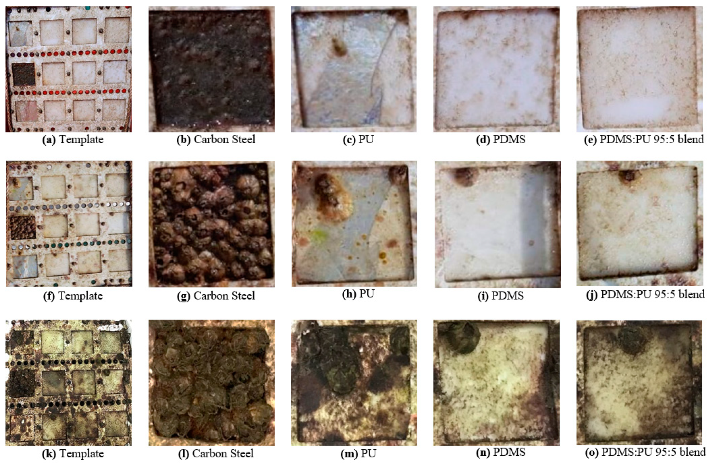 Polymers 13 02242 g009