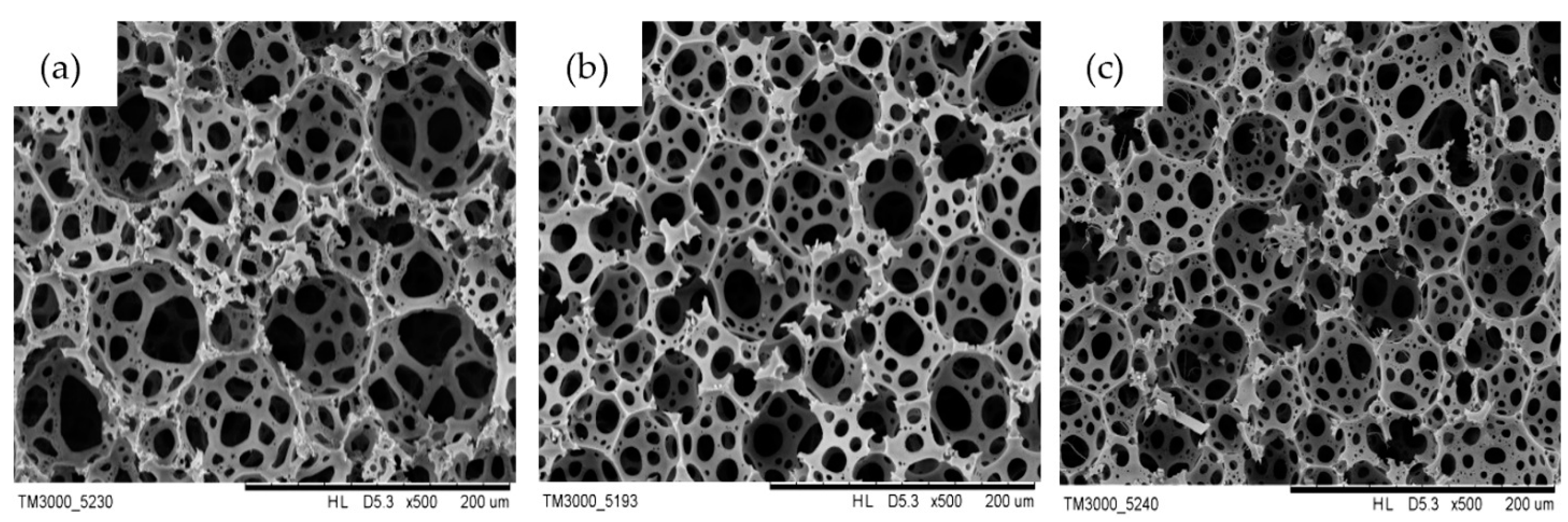 Polymers 13 02247 g002