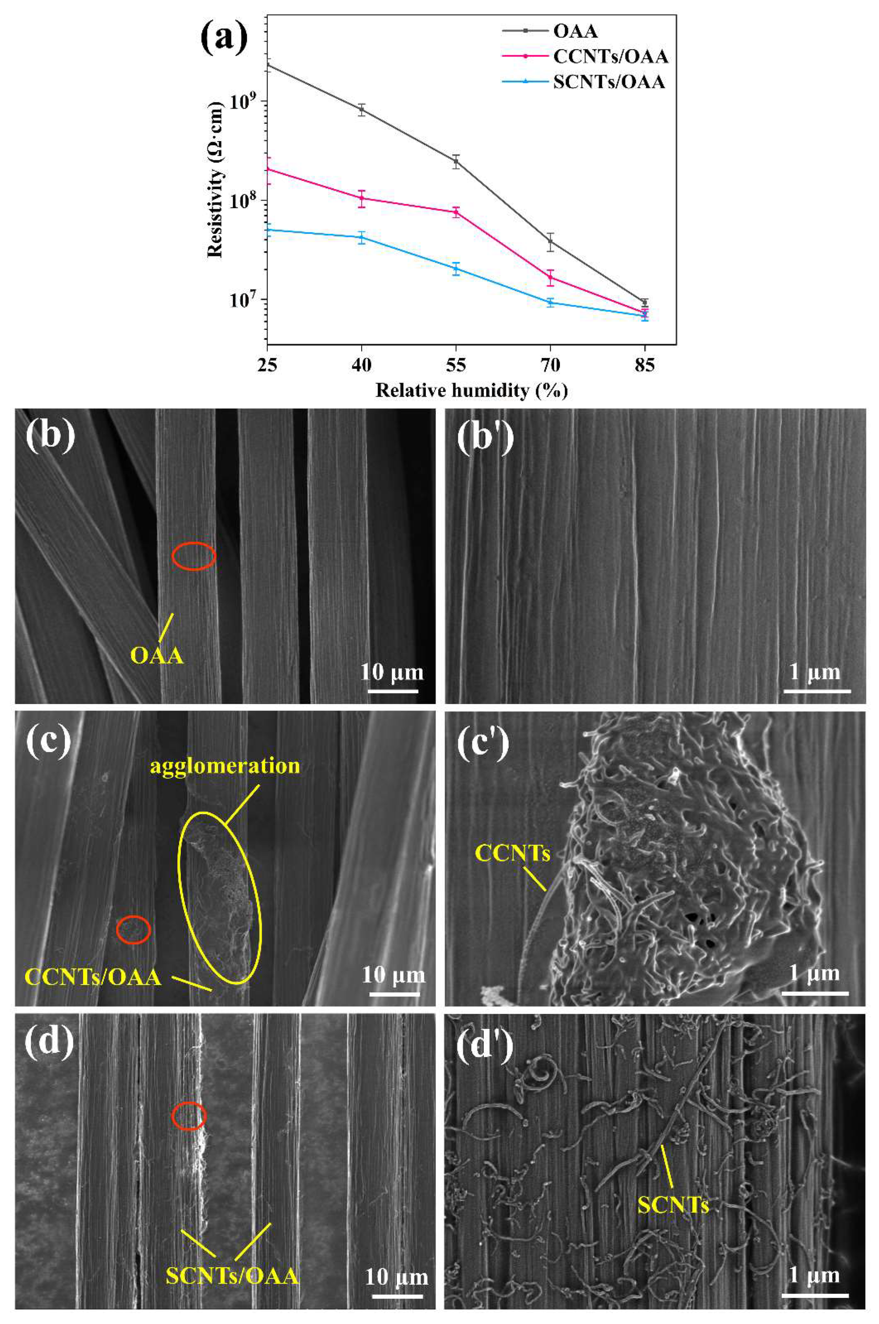 Polymers 13 02248 g005