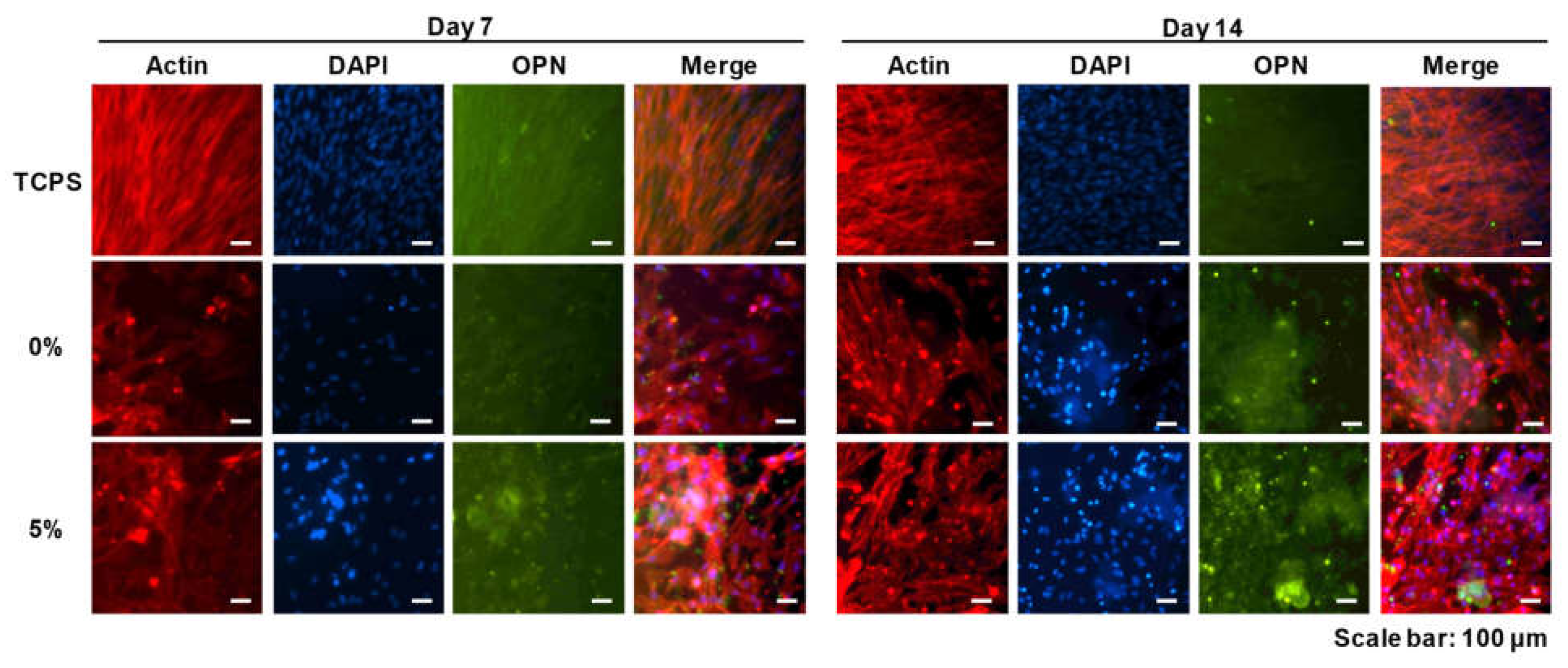 Polymers 13 02252 g006