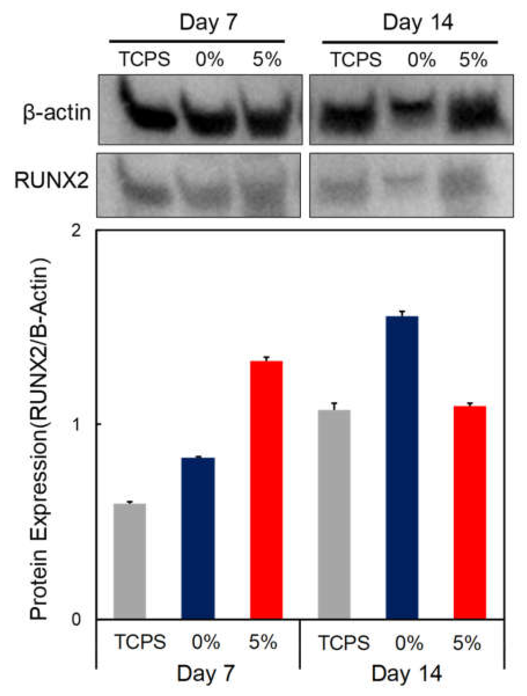 Polymers 13 02252 g007