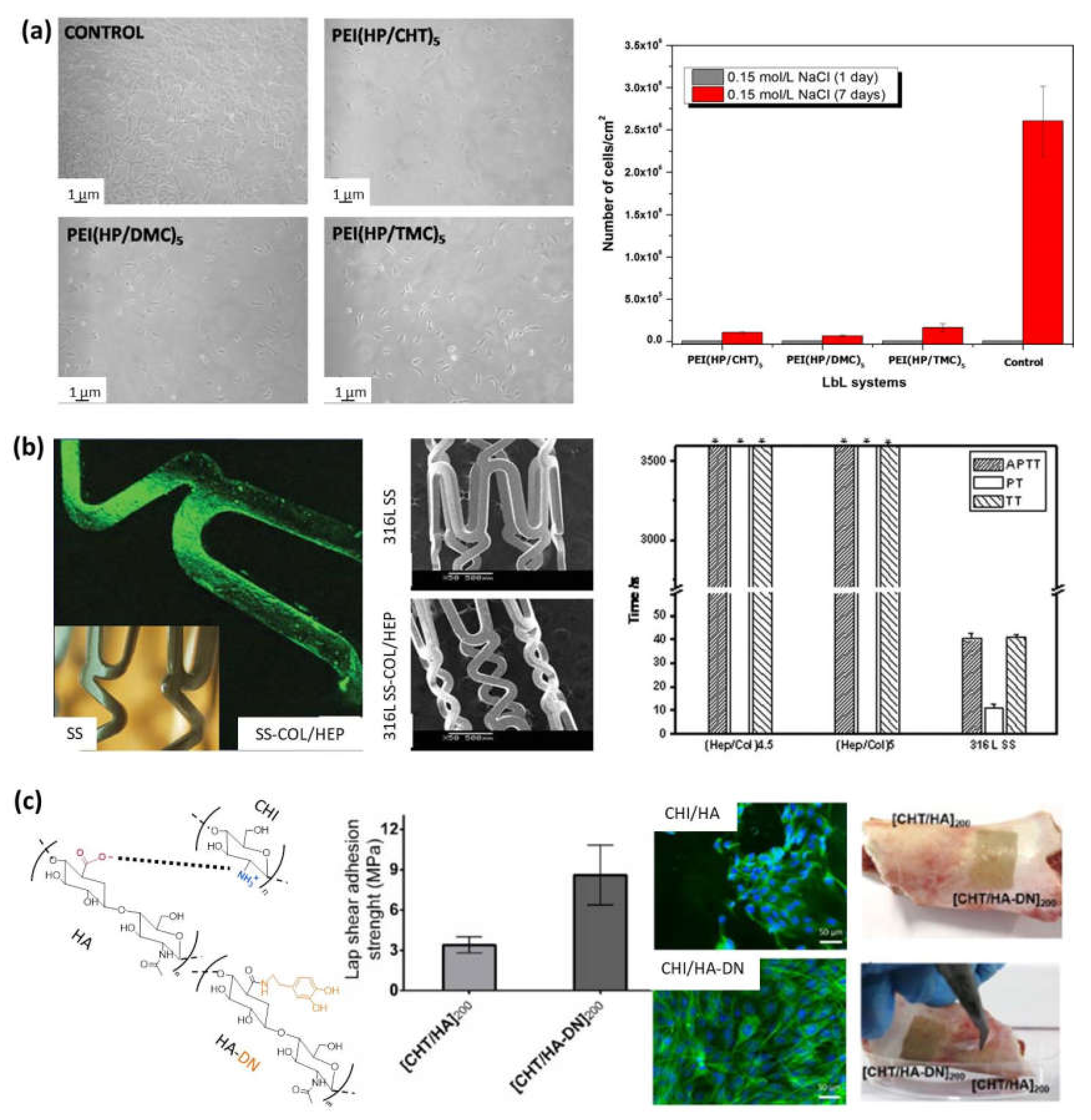 Polymers 13 02254 g005 Polymers 13 02254 g005