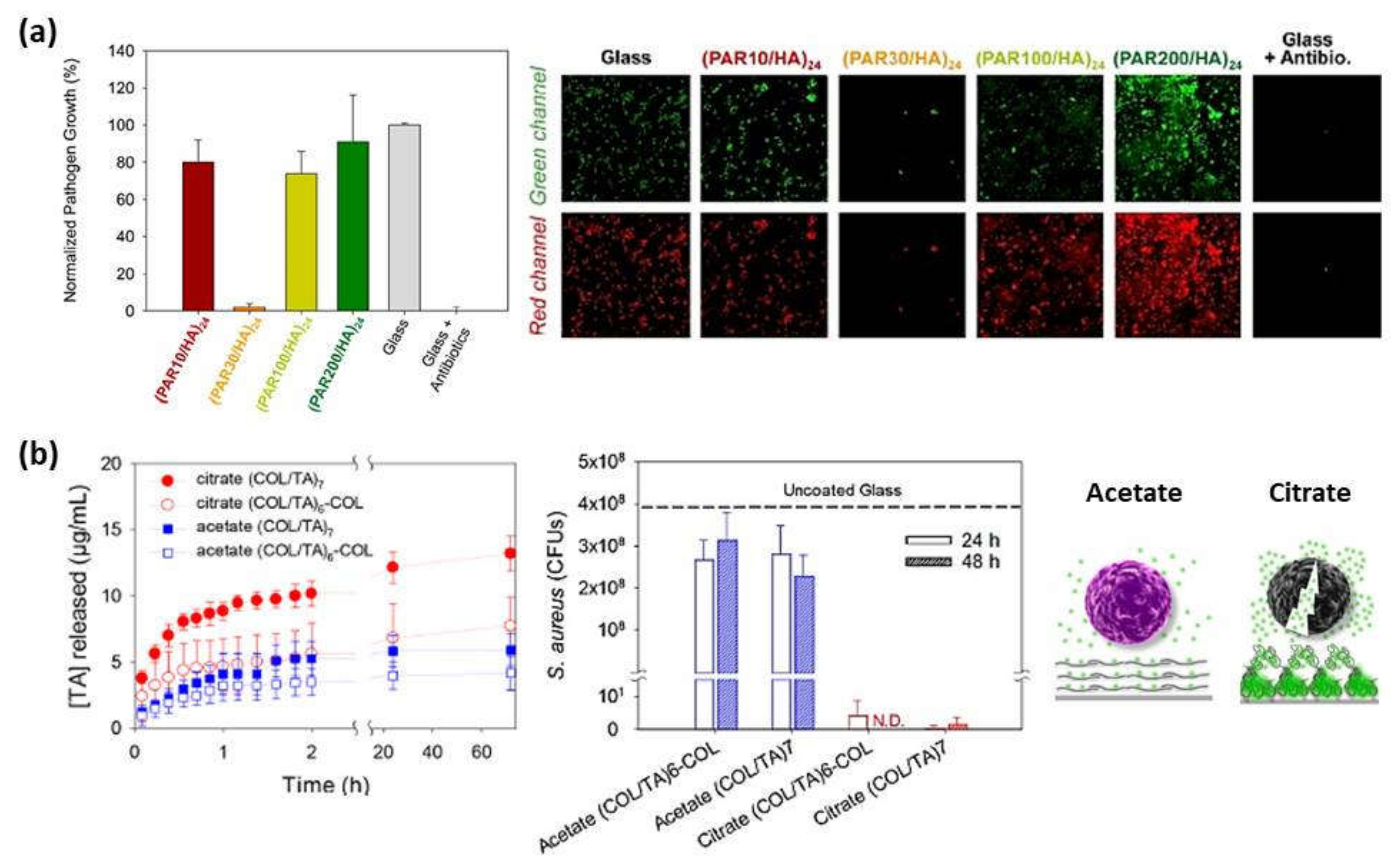 Polymers 13 02254 g006 Polymers 13 02254 g006