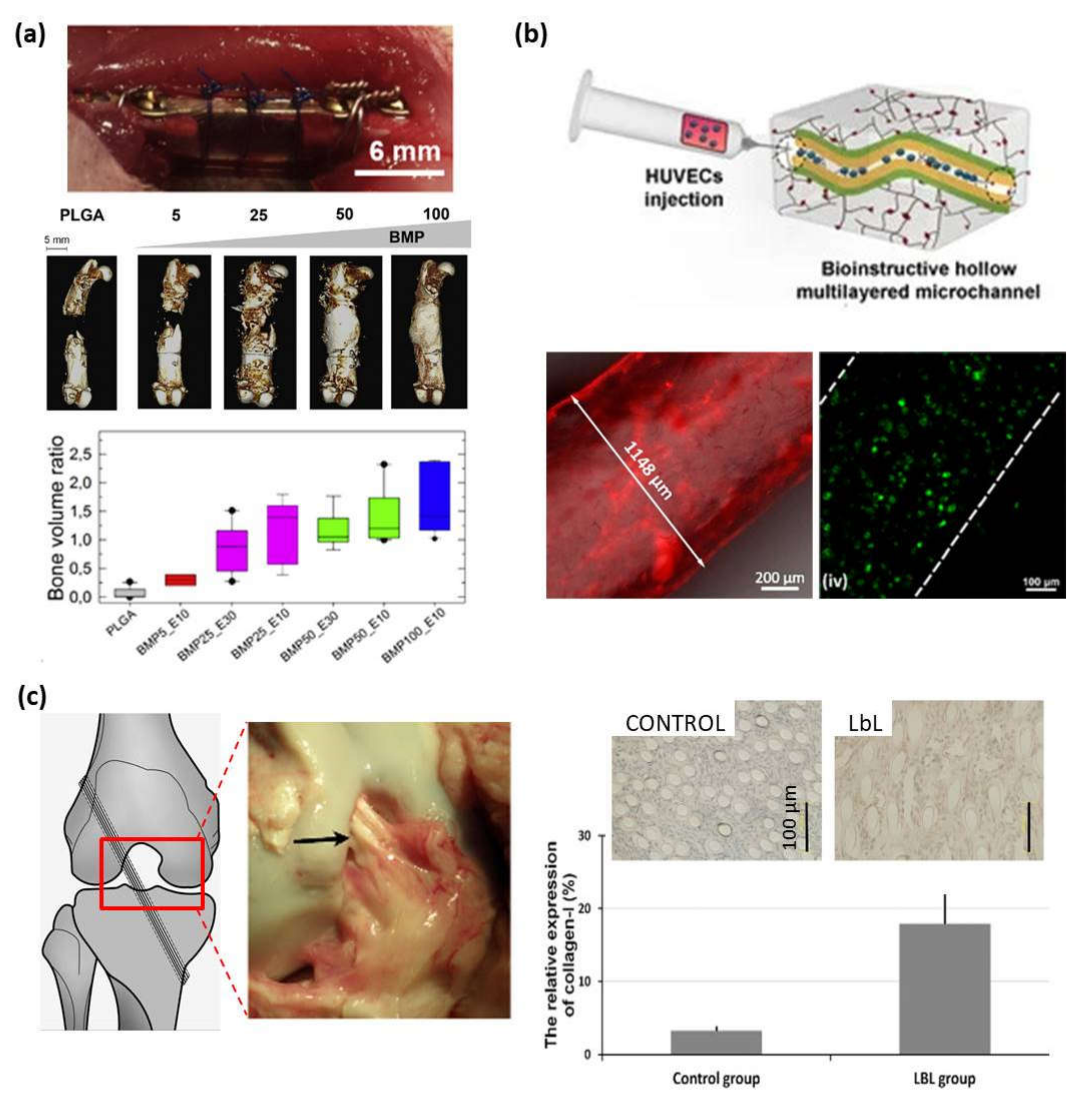 Polymers 13 02254 g007 Polymers 13 02254 g007