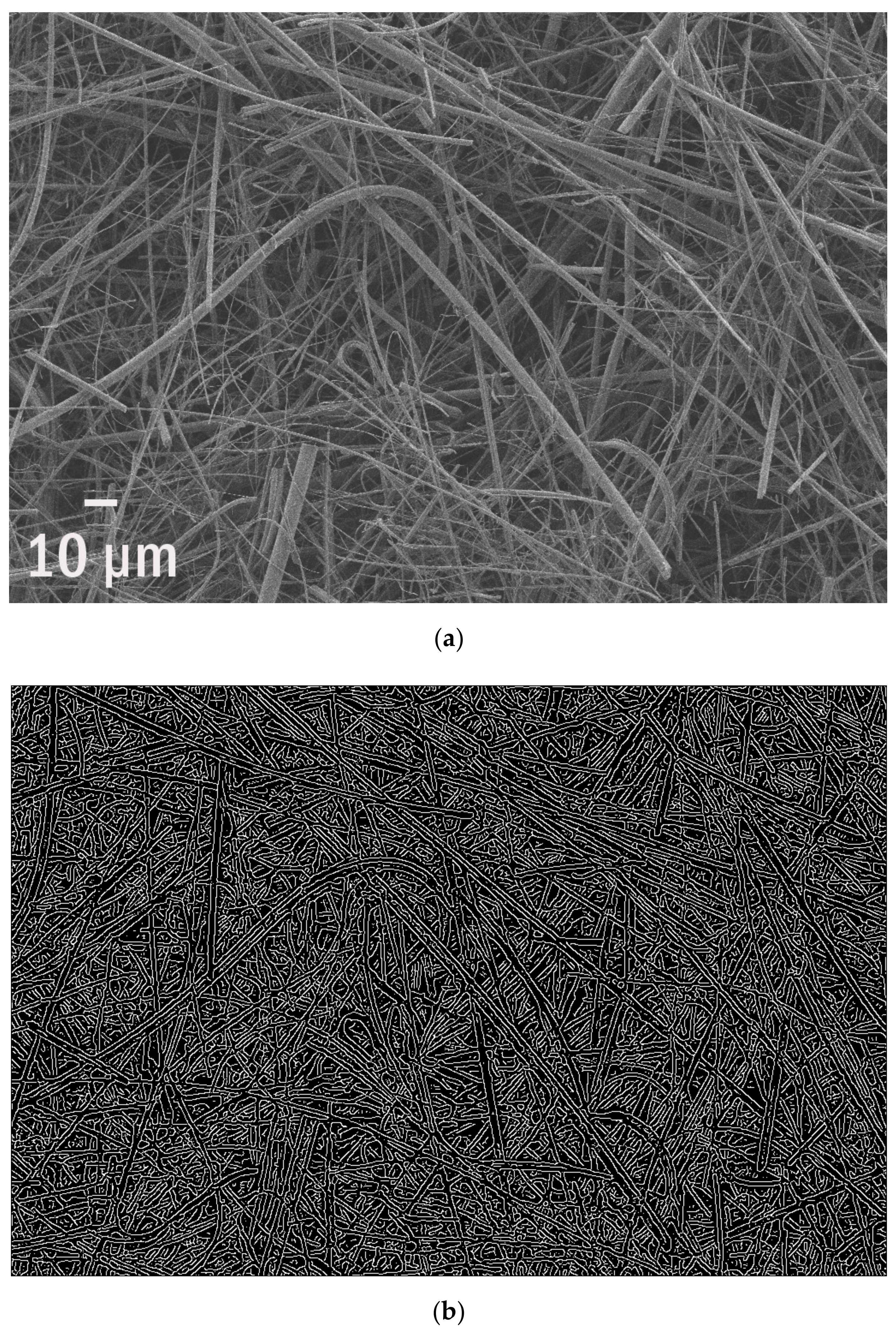 Polymers 13 02255 g001