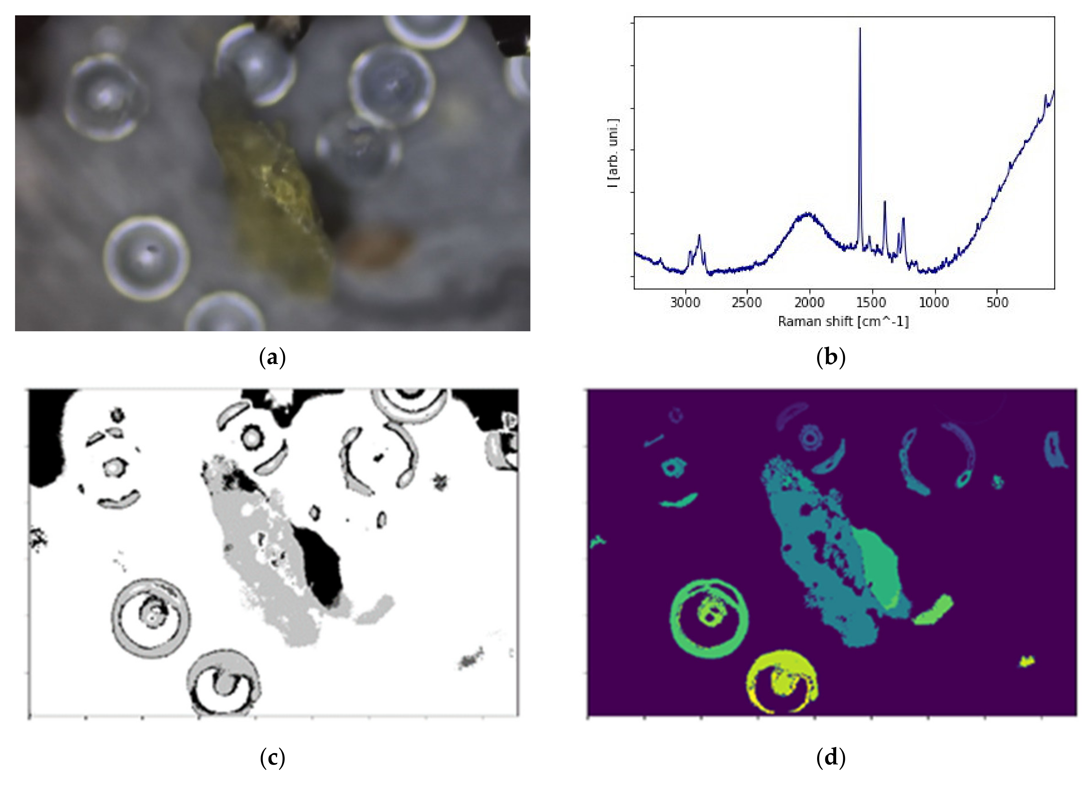 Polymers 13 02255 g002a