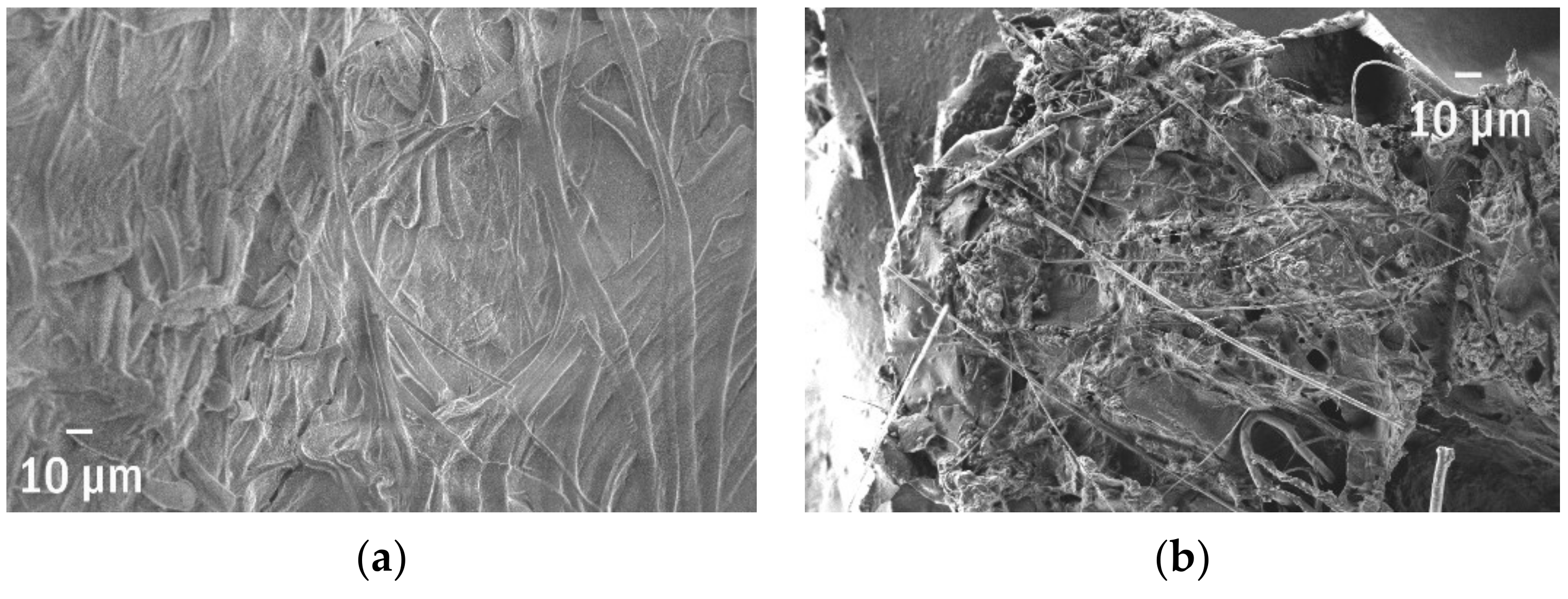 Polymers 13 02255 g008