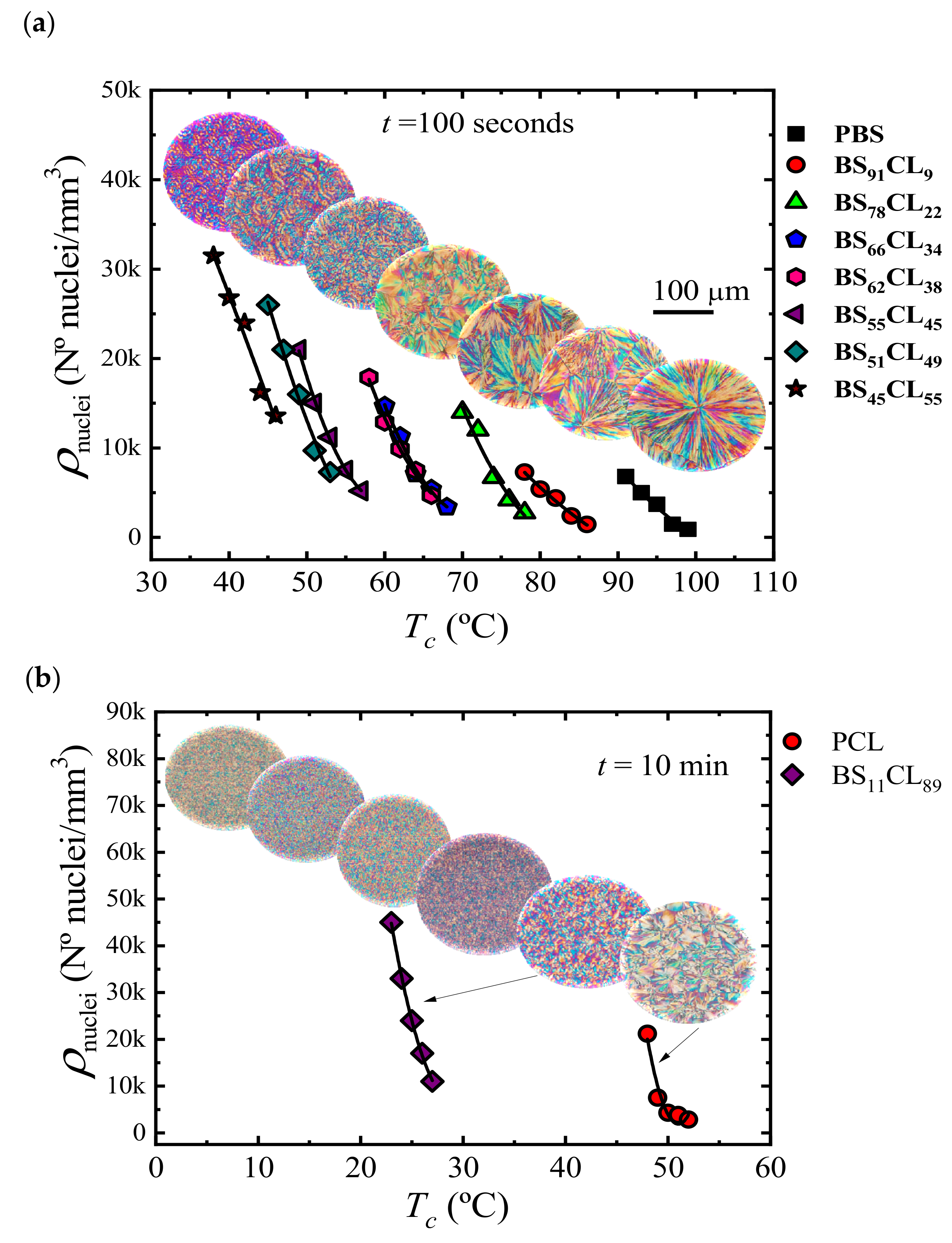 Polymers 13 02263 g010