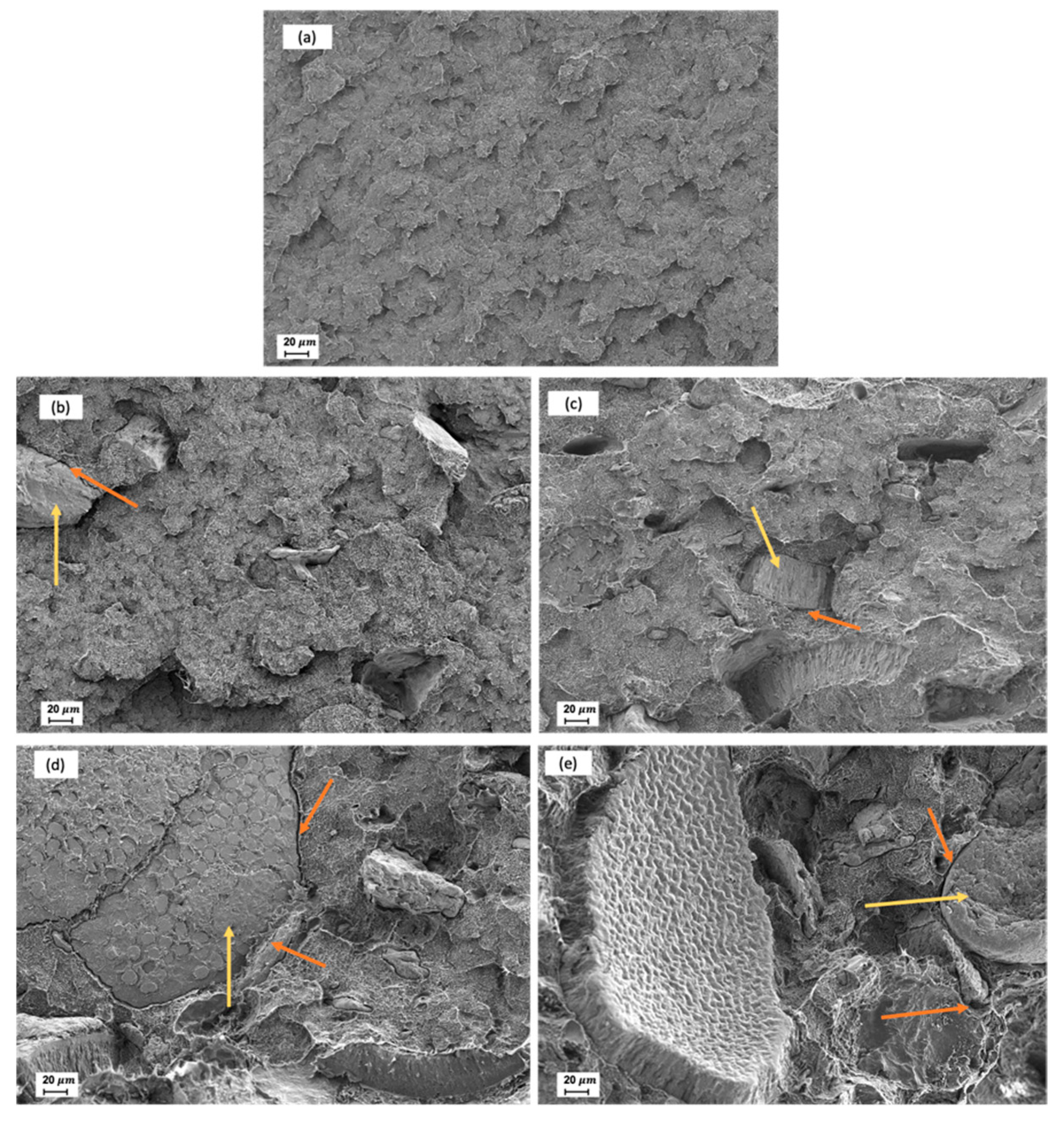 Polymers 13 02269 g008 550