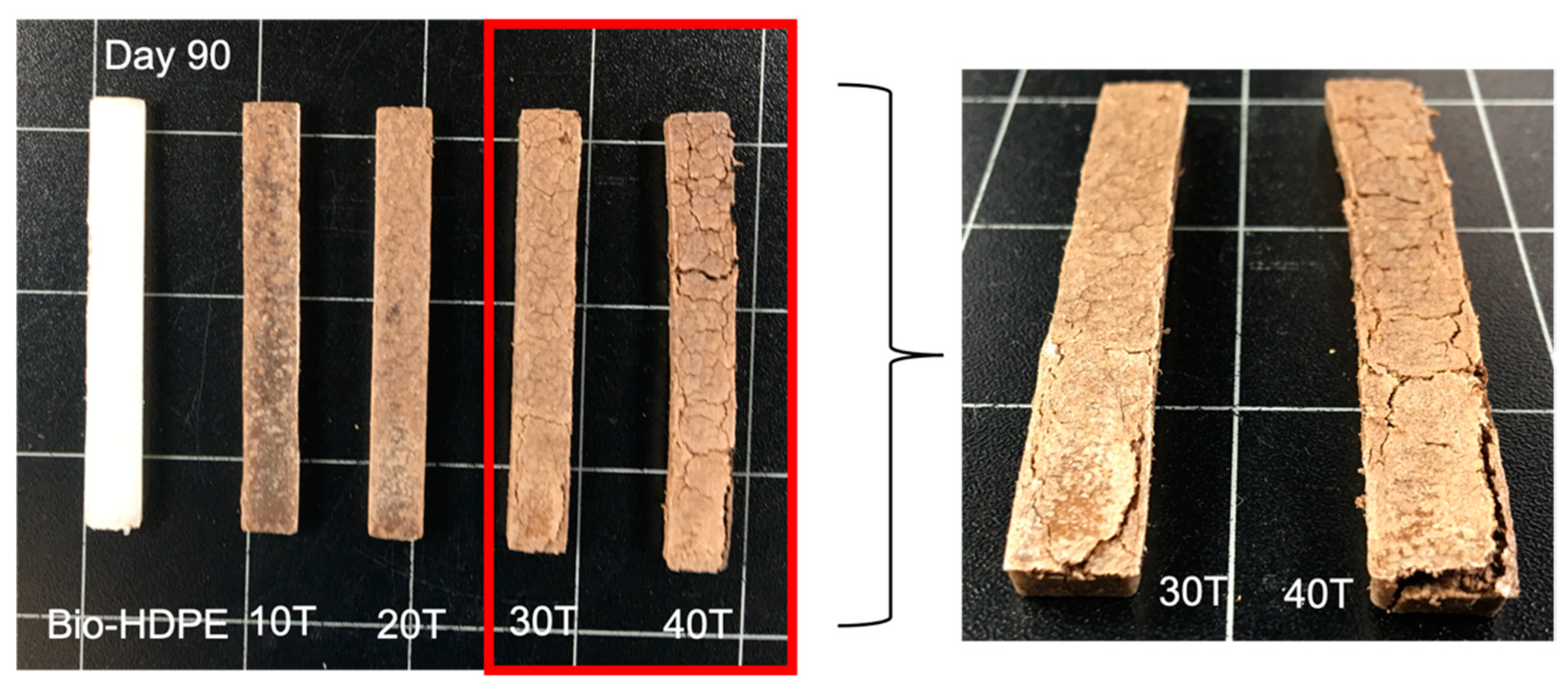 Polymers 13 02269 g014 550