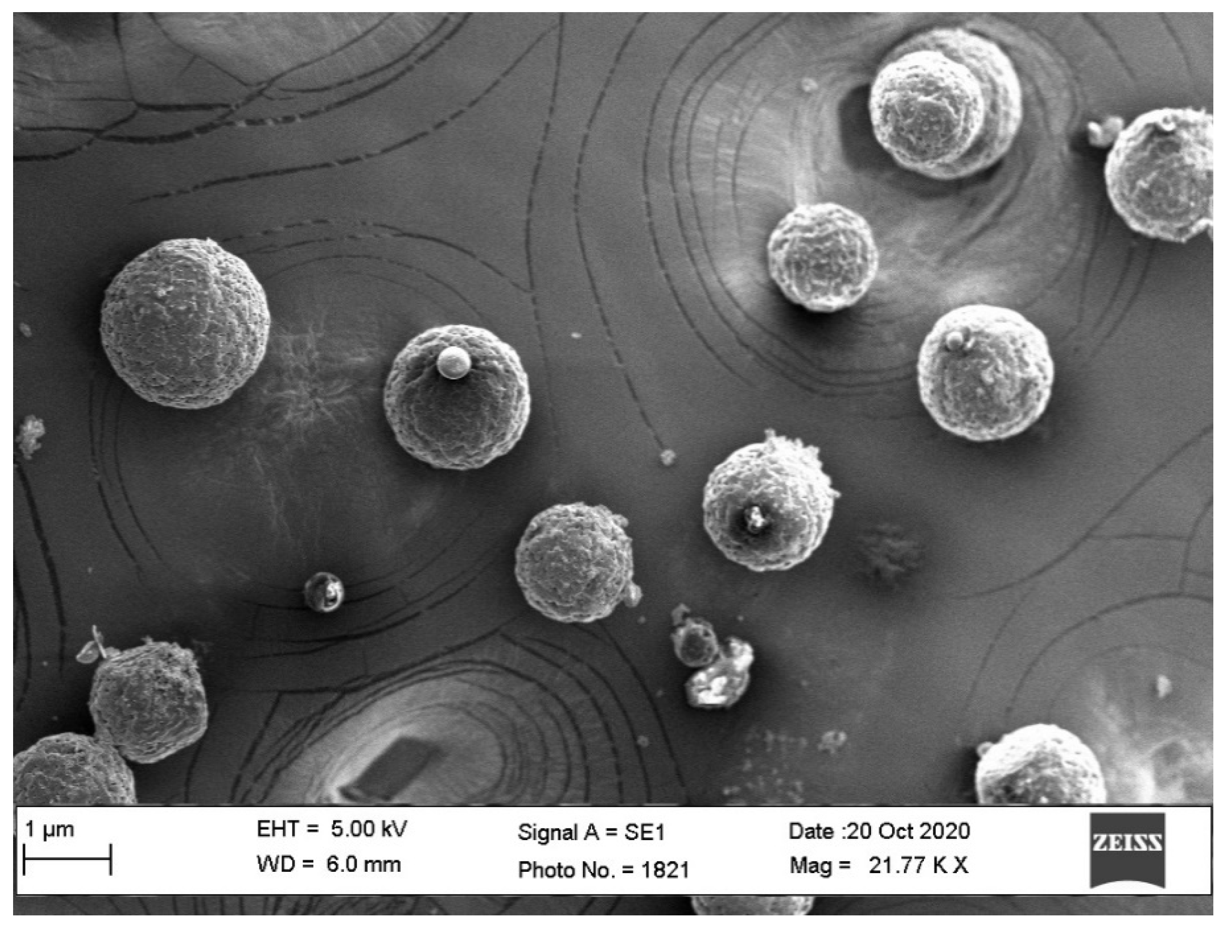 Polymers 13 02272 g004