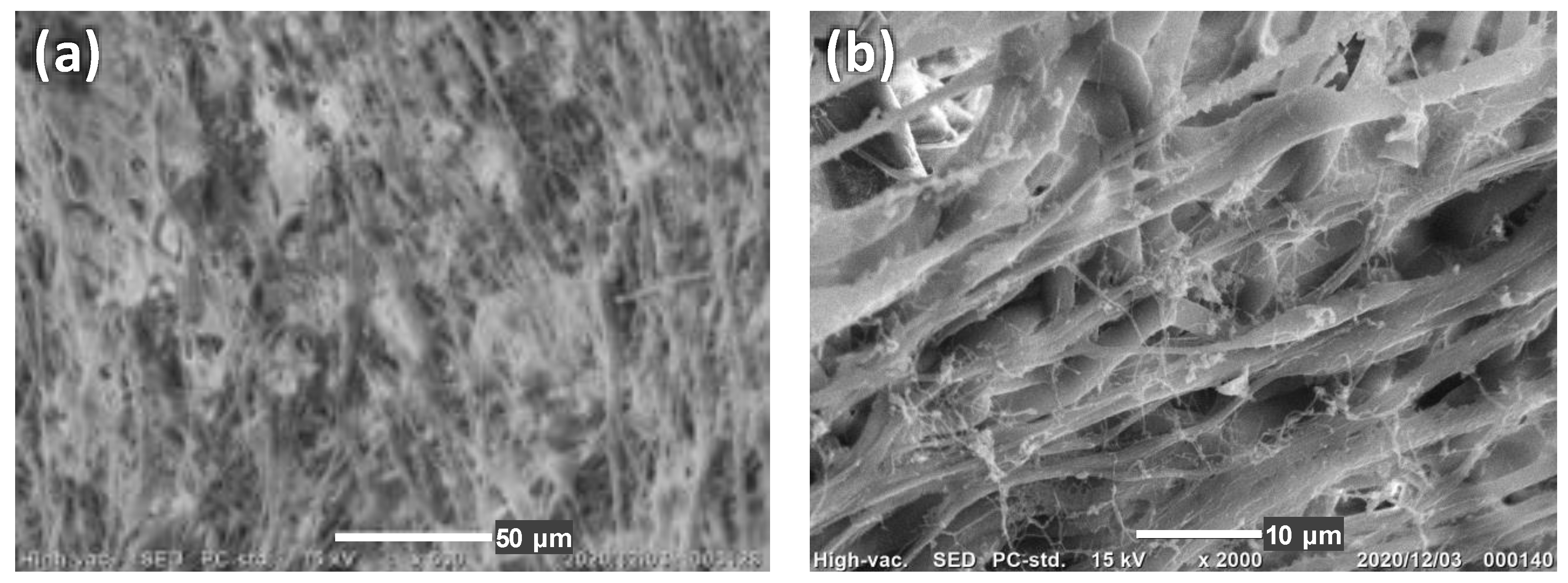 Polymers 13 02273 g007 Polymers 13 02273 g007
