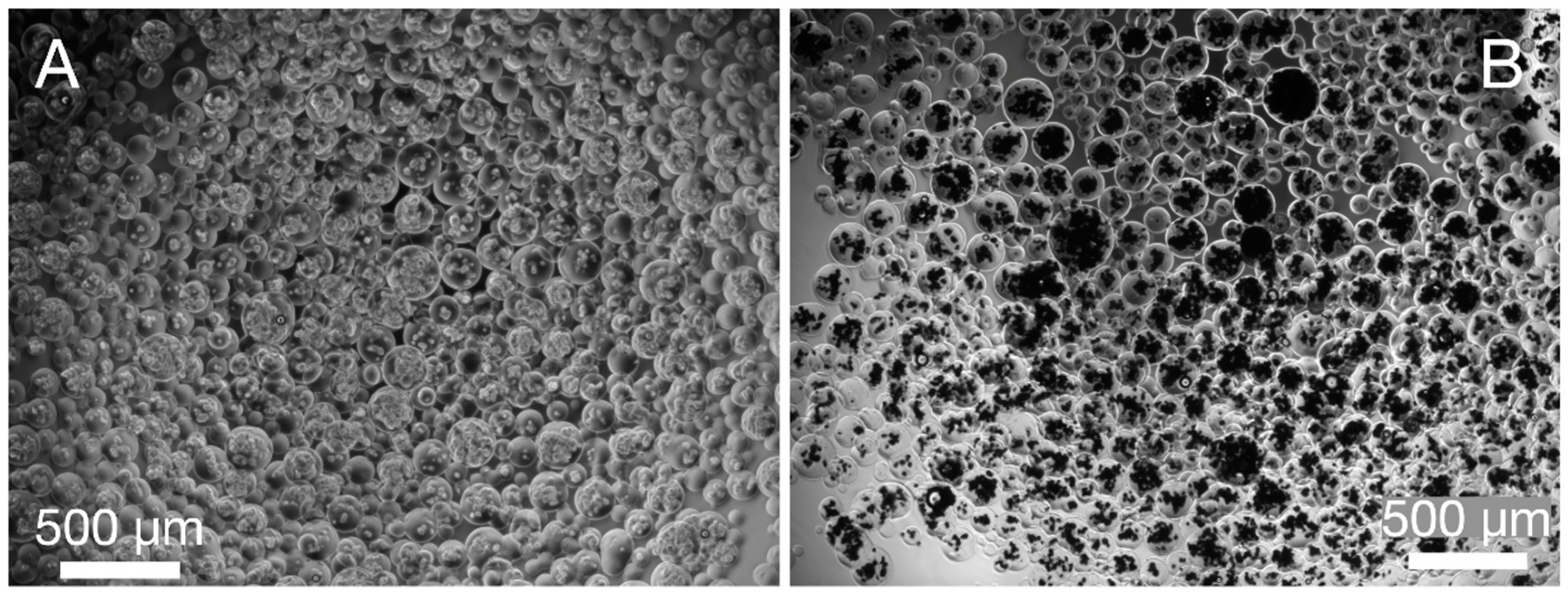 Polymers 13 02274 g001 550