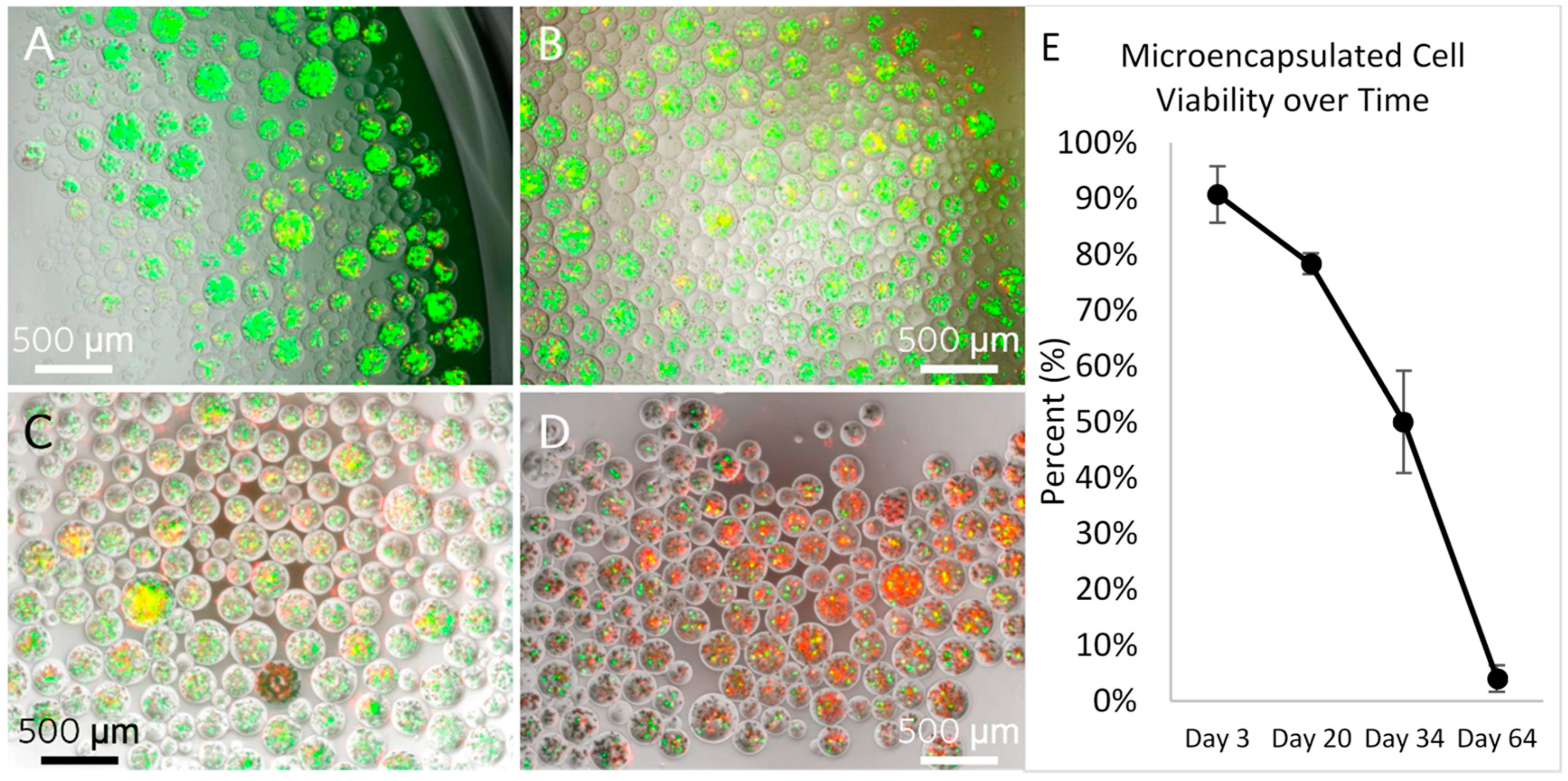 Polymers 13 02274 g002 550