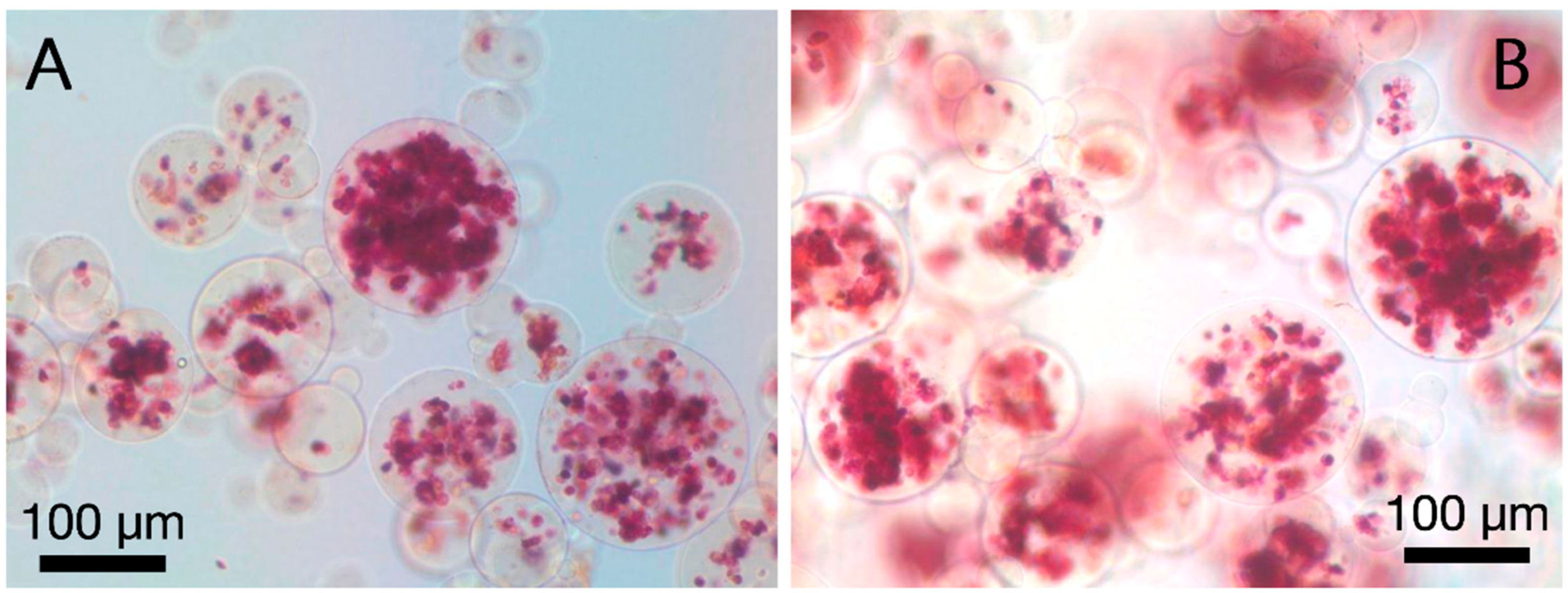 Polymers 13 02274 g003 550