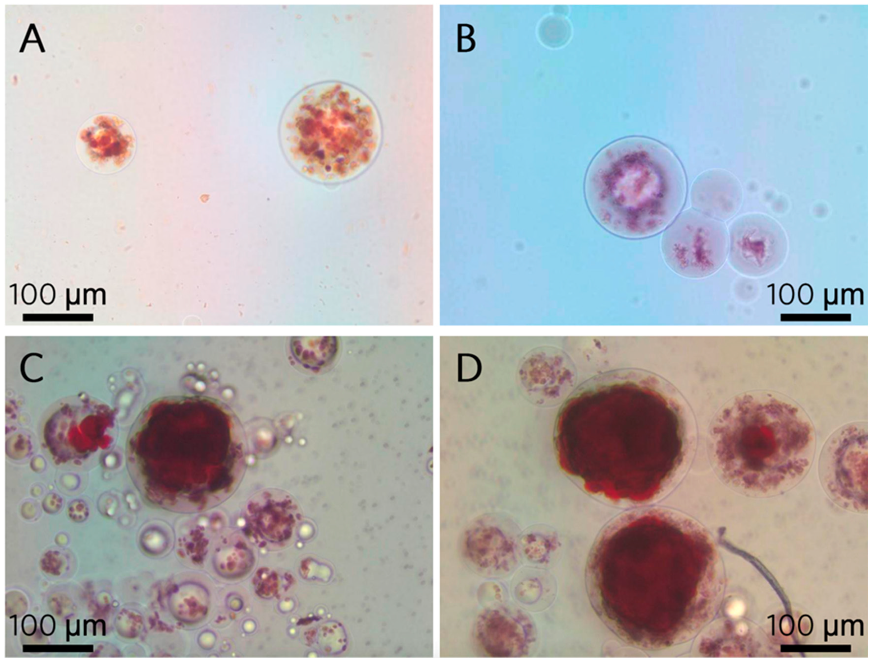 Polymers 13 02274 g004 550